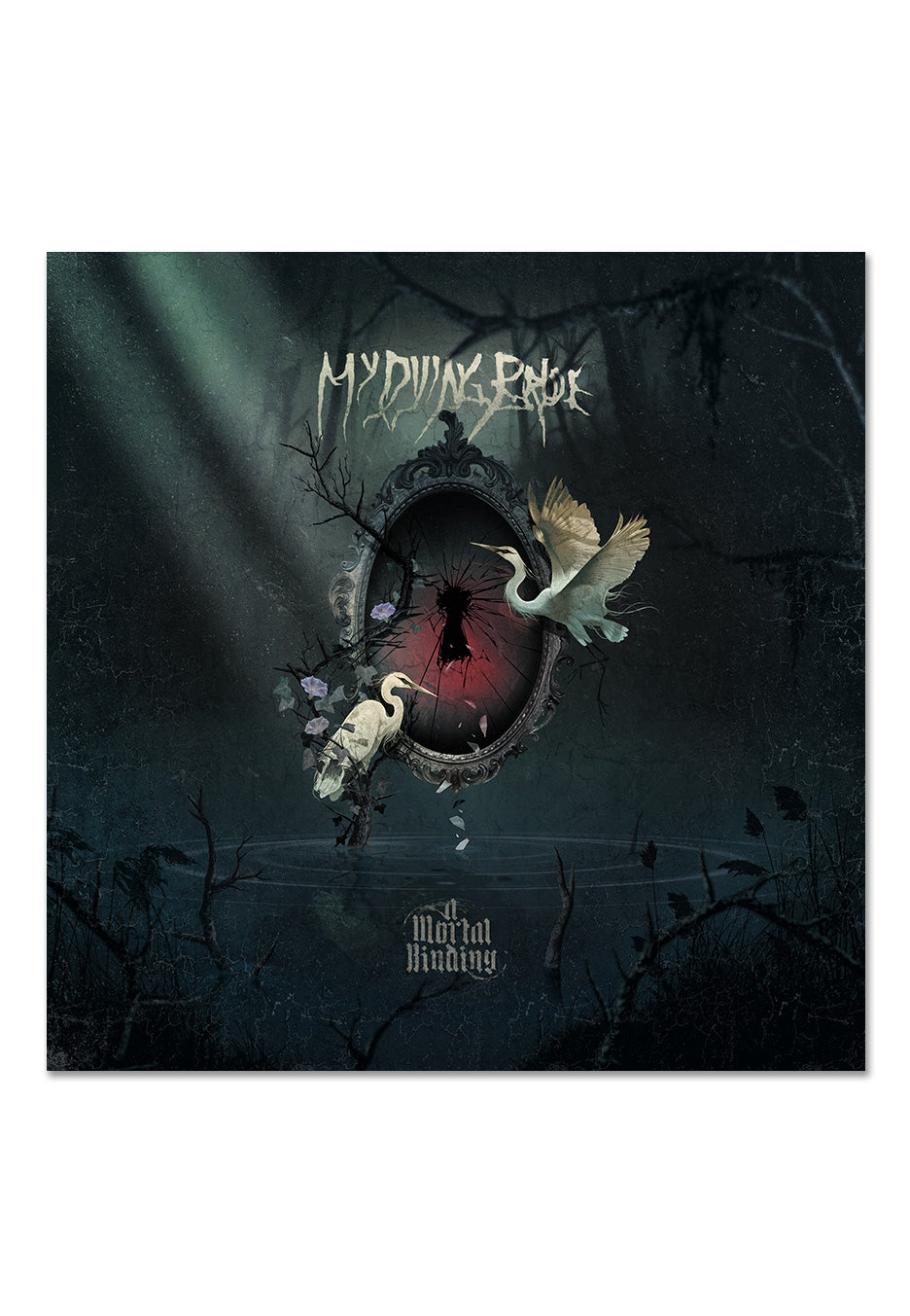 My Dying Bride - A Mortal Binding Crystal Clear/Black Smoke - Marbled 2 Vinyl | Neutral-Image