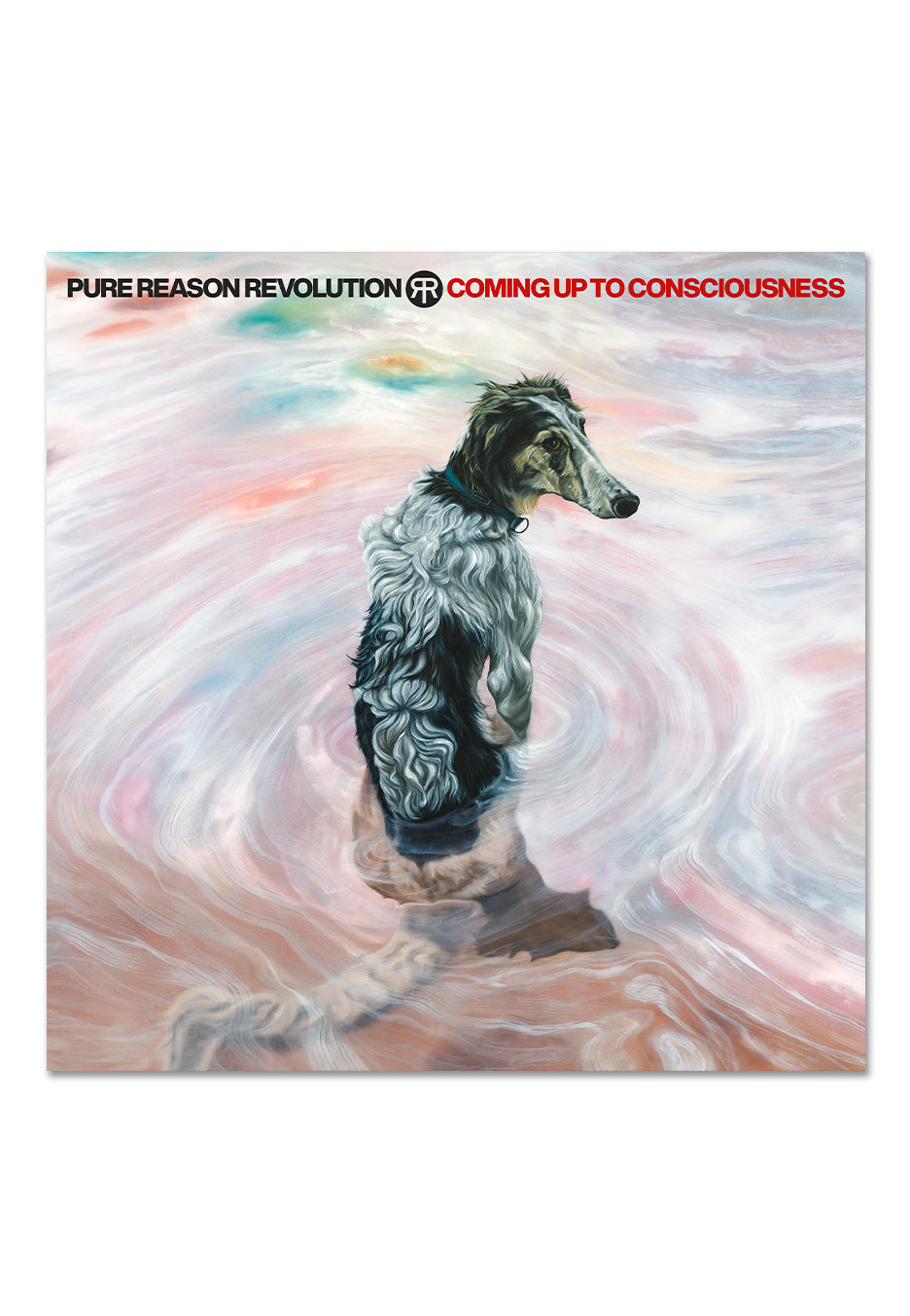 Pure Reason Revolution - Coming Up To Consciousness Ltd. Neon Pink - Colored Vinyl | Neutral-Image