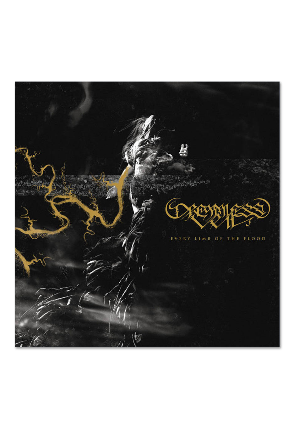 Dreamless Veil - Every Limb Of The Flood - CD | Neutral-Image