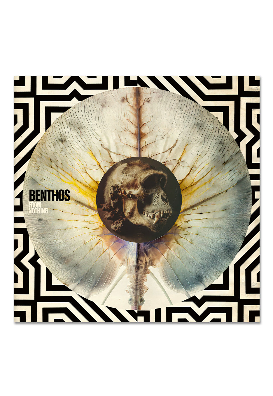 Benthos - From Nothing - CD | Neutral-Image