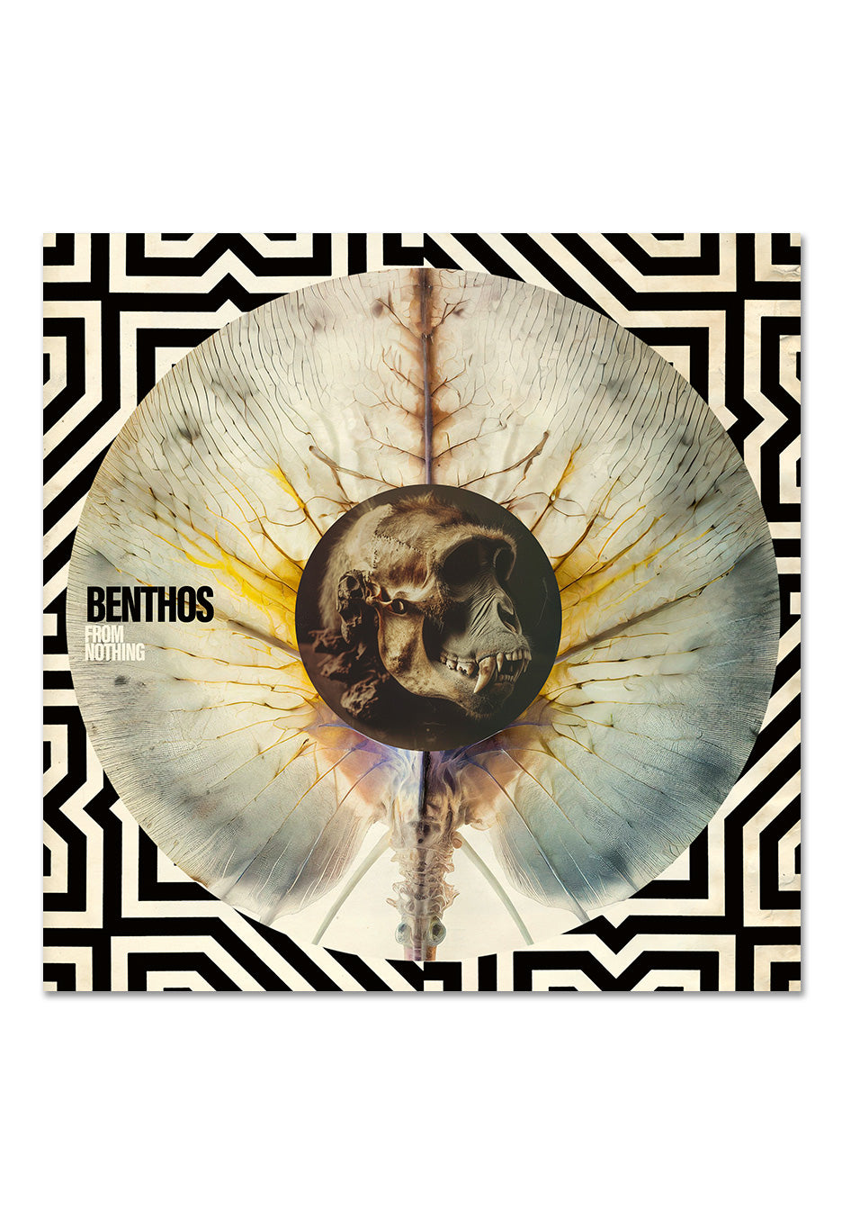 Benthos - From Nothing Clear/Black - Marbled Vinyl | Neutral-Image