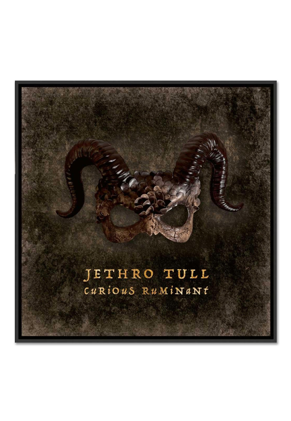 Jethro Tull - Curious Ruminant (Limited Deluxe Edition) - Digipak 2 CD + Blu Ray Artbook | Neutral-Image