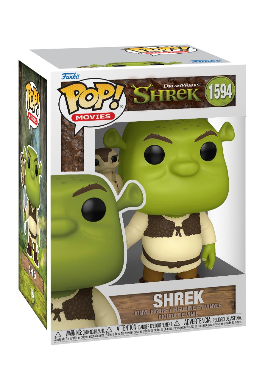 Shrek - Shrek w/ Snake POP! Vinyl - Funko Pop | Neutral-Image