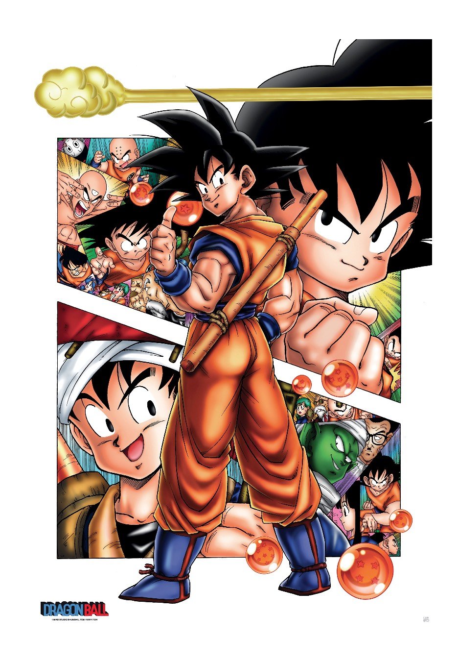 Dragon Ball Z - Son Goku Story Maxi - Poster | Neutral-Image