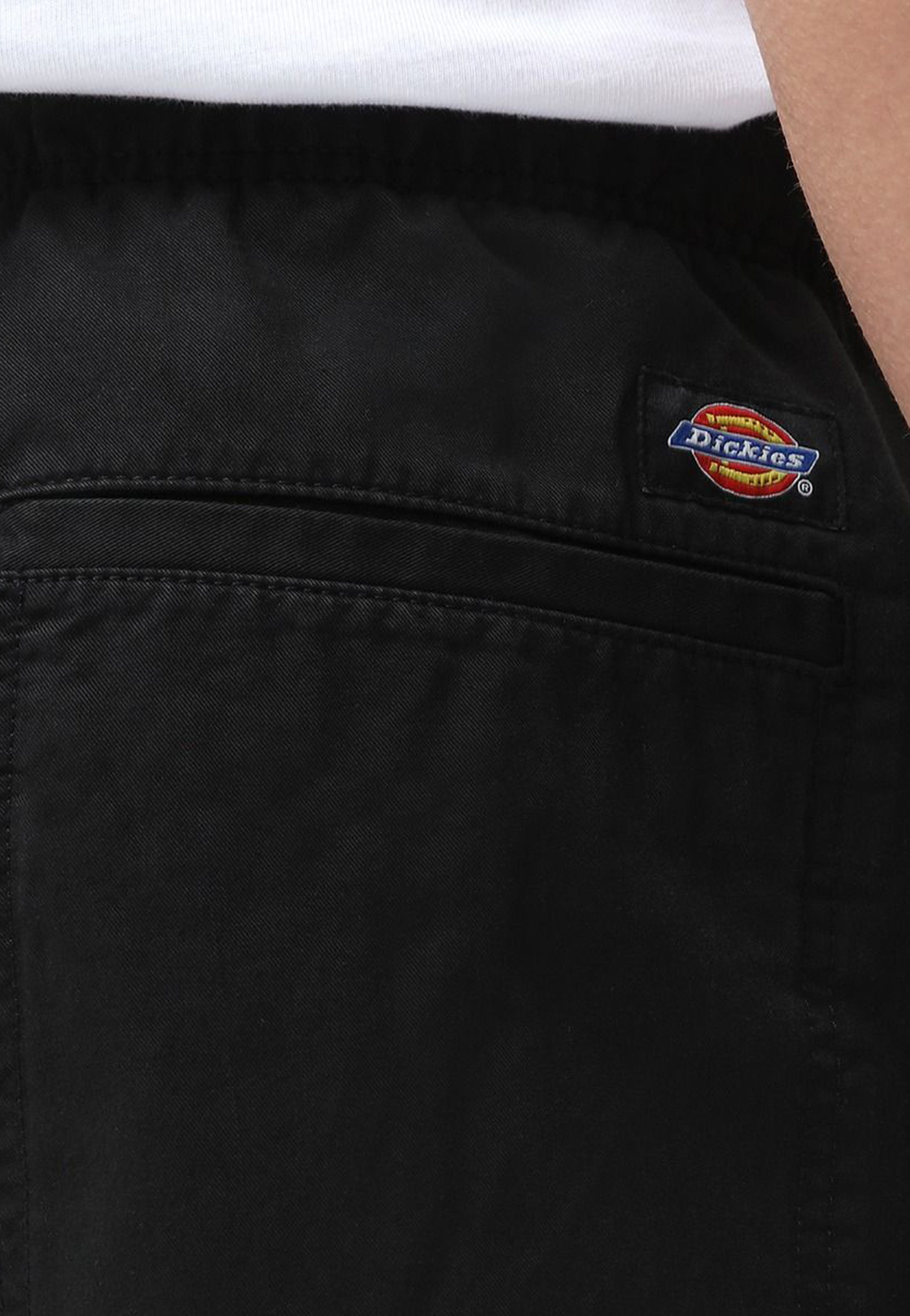 Dickies - Pelican Rapids Black - Shorts | Men-Image