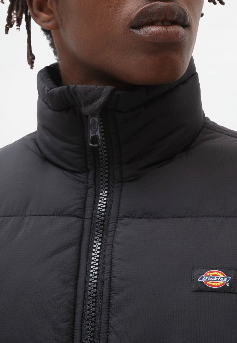 Dickies - Waldenburg Black - Jacket | Men-Image