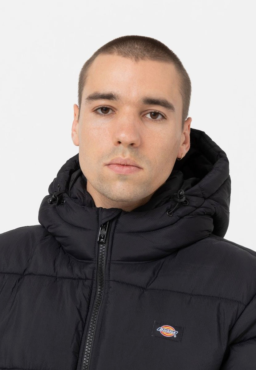 Dickies - Waldenburg Hooded Black - Jacket | Men-Image