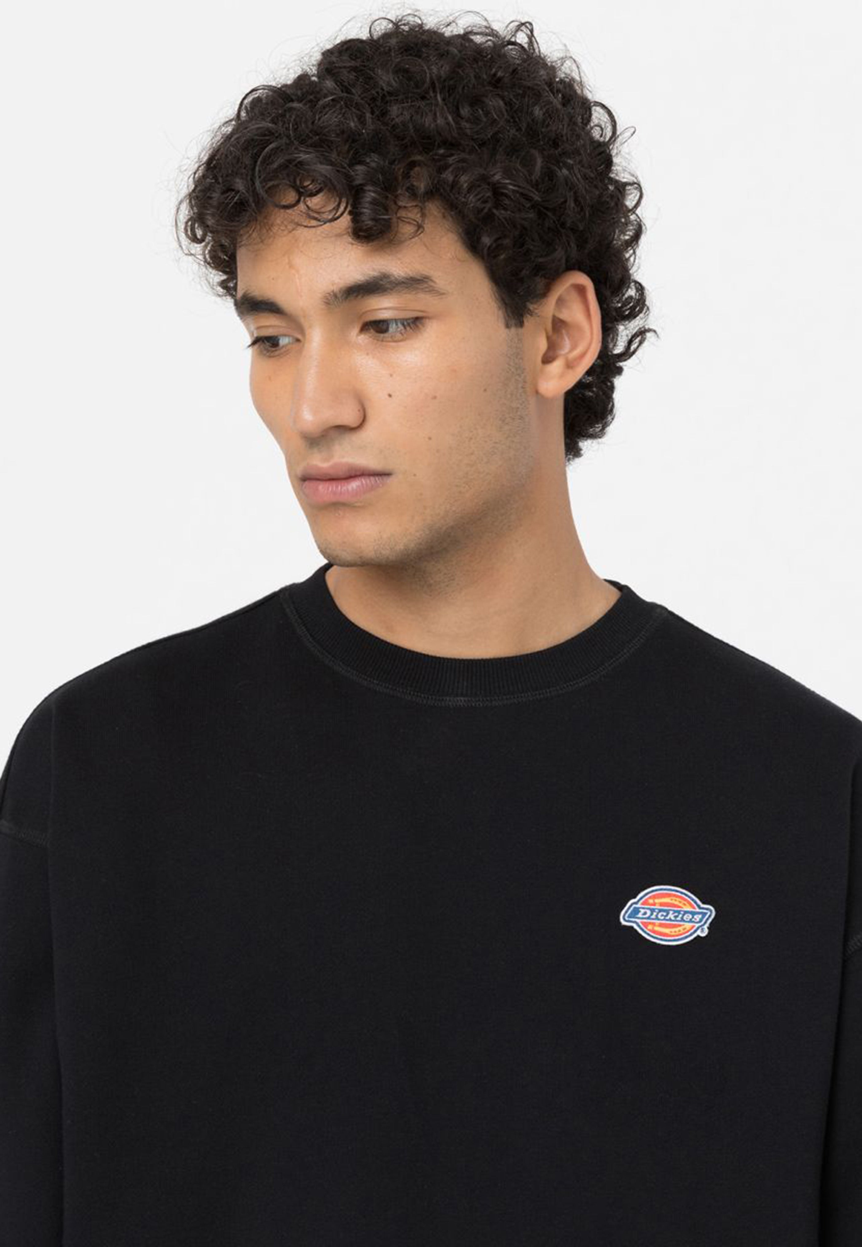 Dickies - Millersburg Black - Sweater | Men-Image