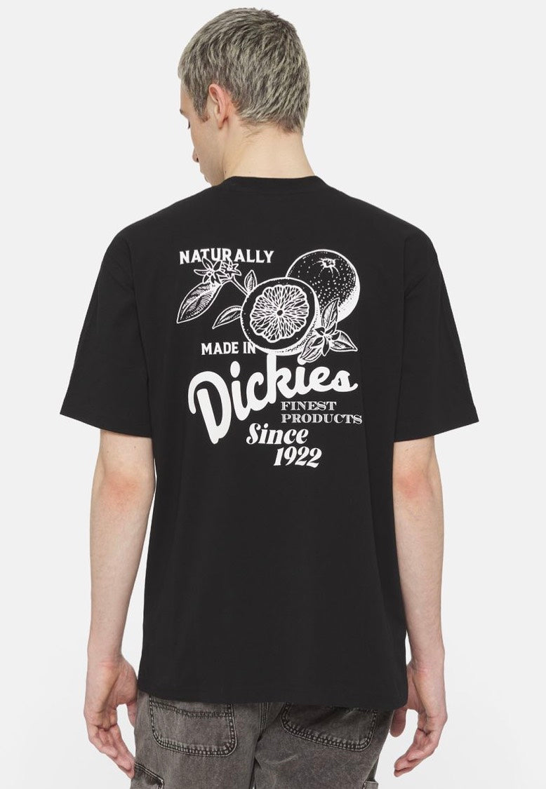 Dickies - Raven Black - T-Shirt | Men-Image