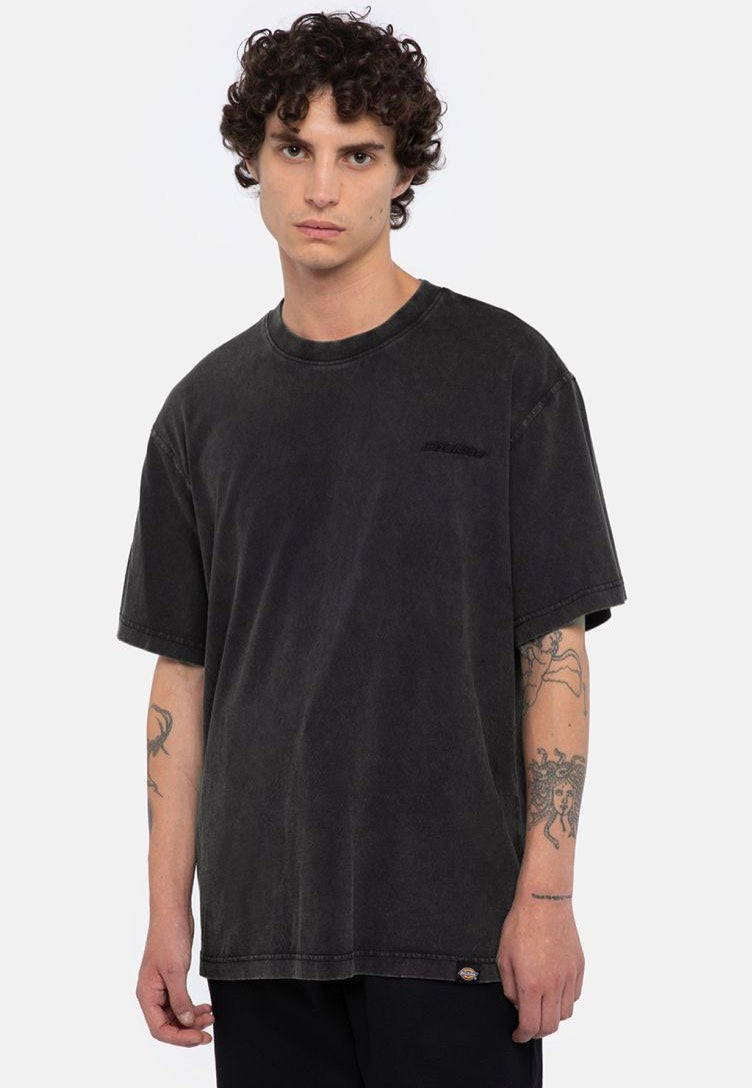 Dickies - Plentywood Dble Dye/Acd Black - T-Shirt | Men-Image