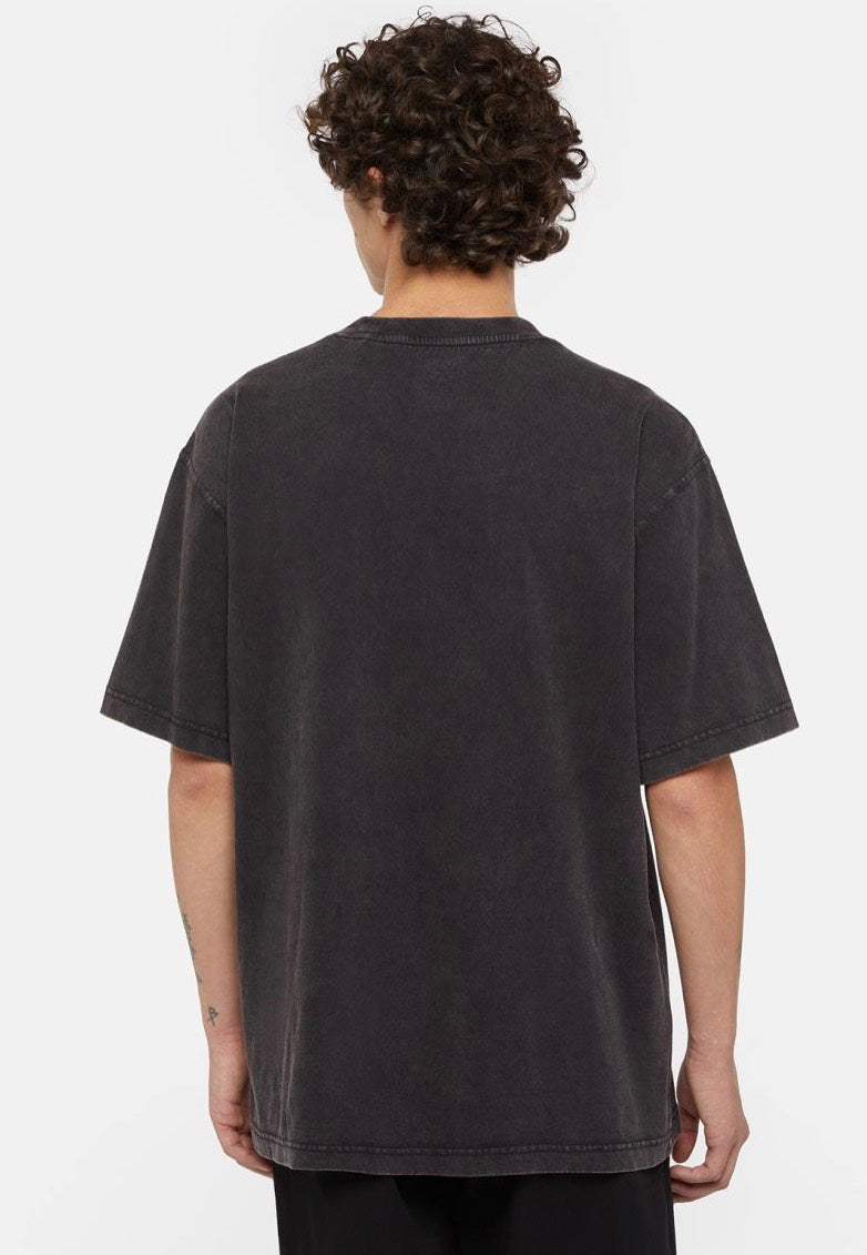 Dickies - Plentywood Dble Dye/Acd Black - T-Shirt | Men-Image