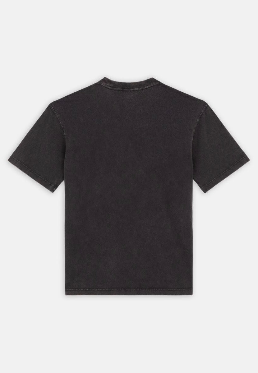 Dickies - Plentywood Dble Dye/Acd Black - T-Shirt | Men-Image