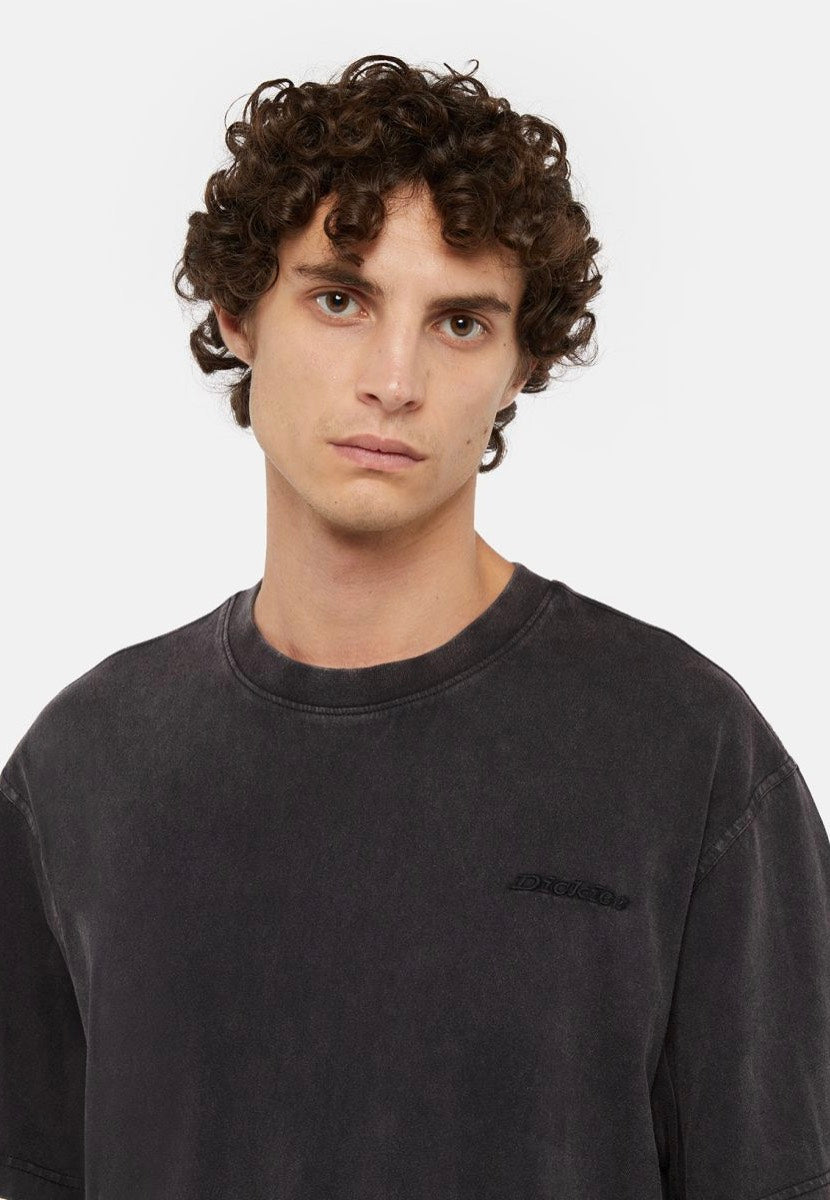 Dickies - Plentywood Dble Dye/Acd Black - T-Shirt | Men-Image