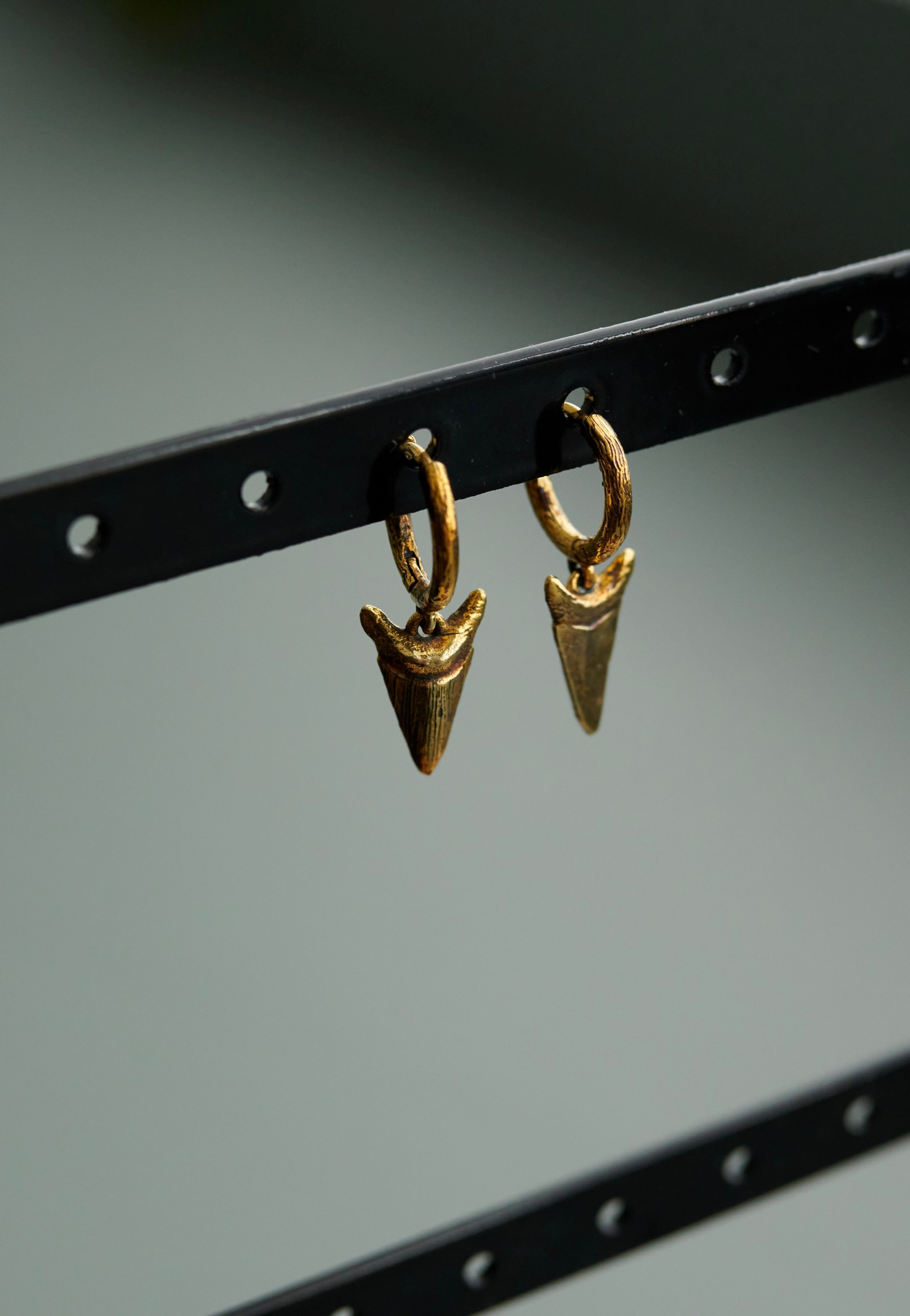 Ask & Embla - Carnivore Gold - Earrings | Neutral-Image