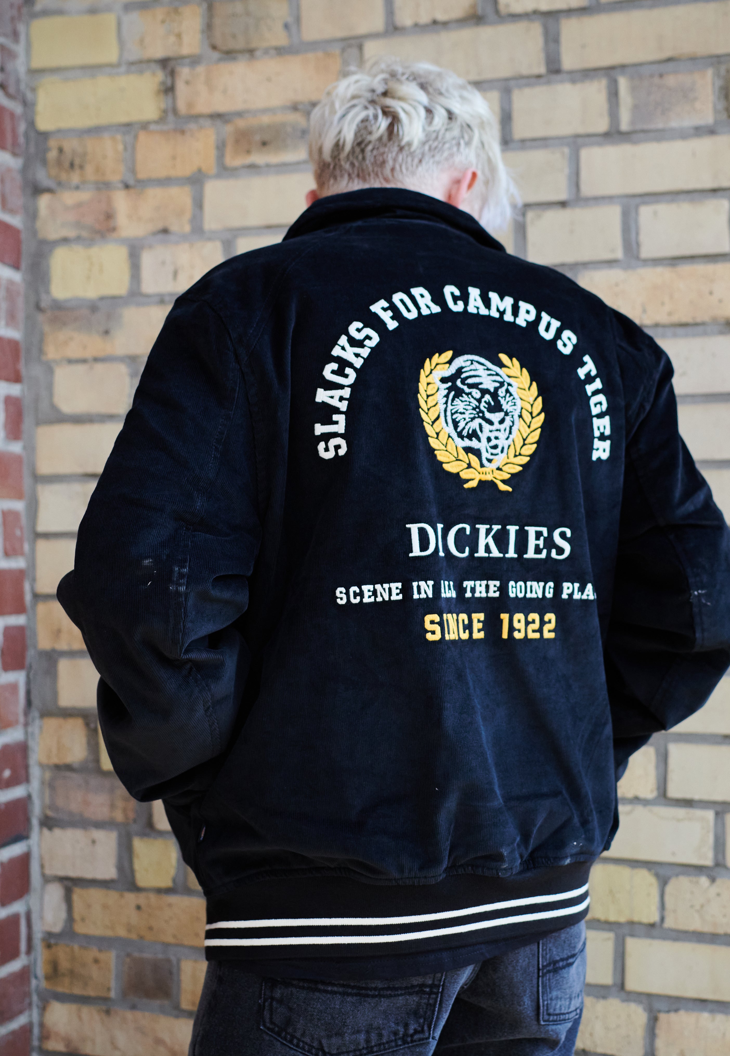 Dickies - Westmoreland Black - Jacket | Men-Image