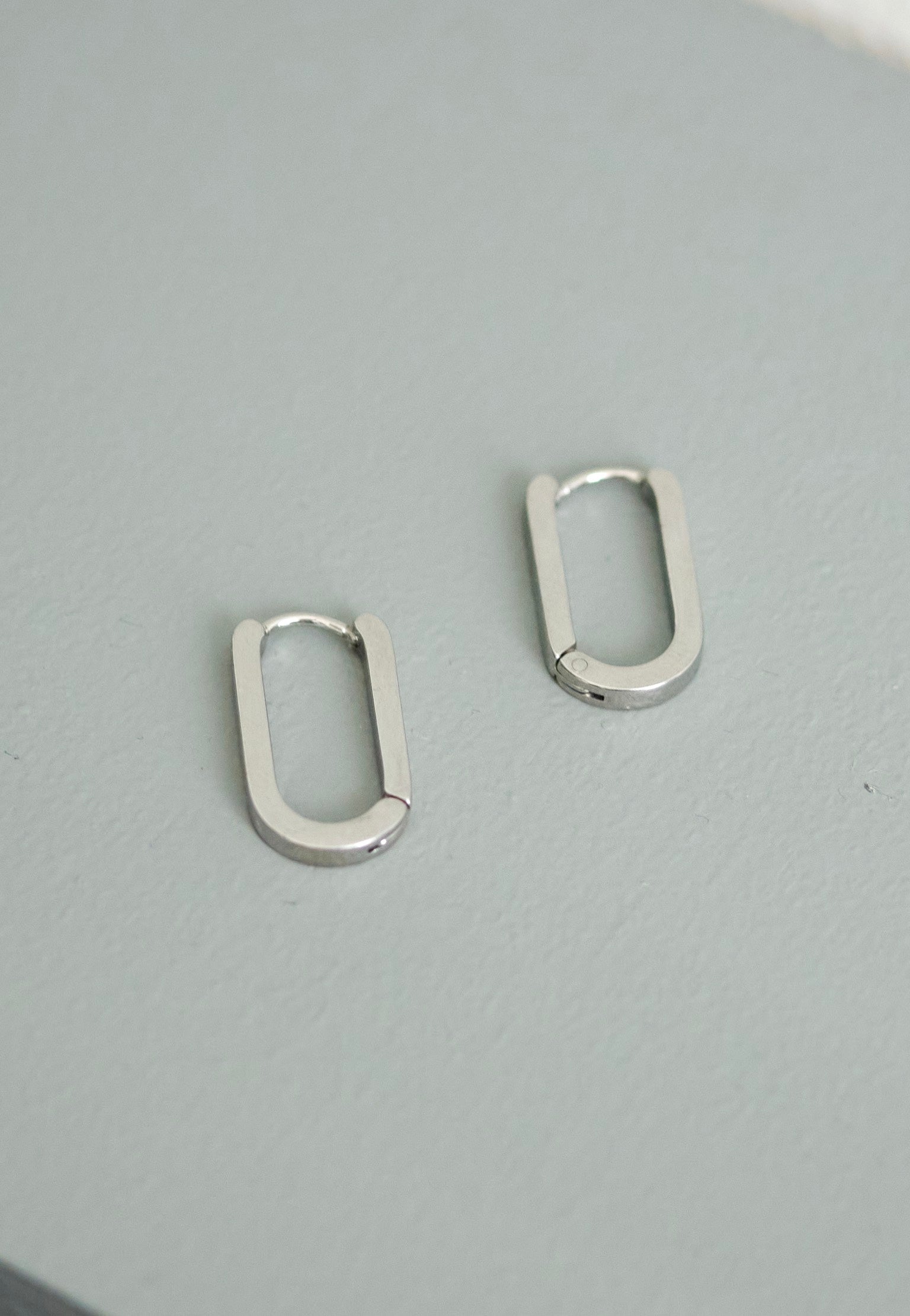 Wildcat - Oval Basic Silver - Earrings | Neutral-Image