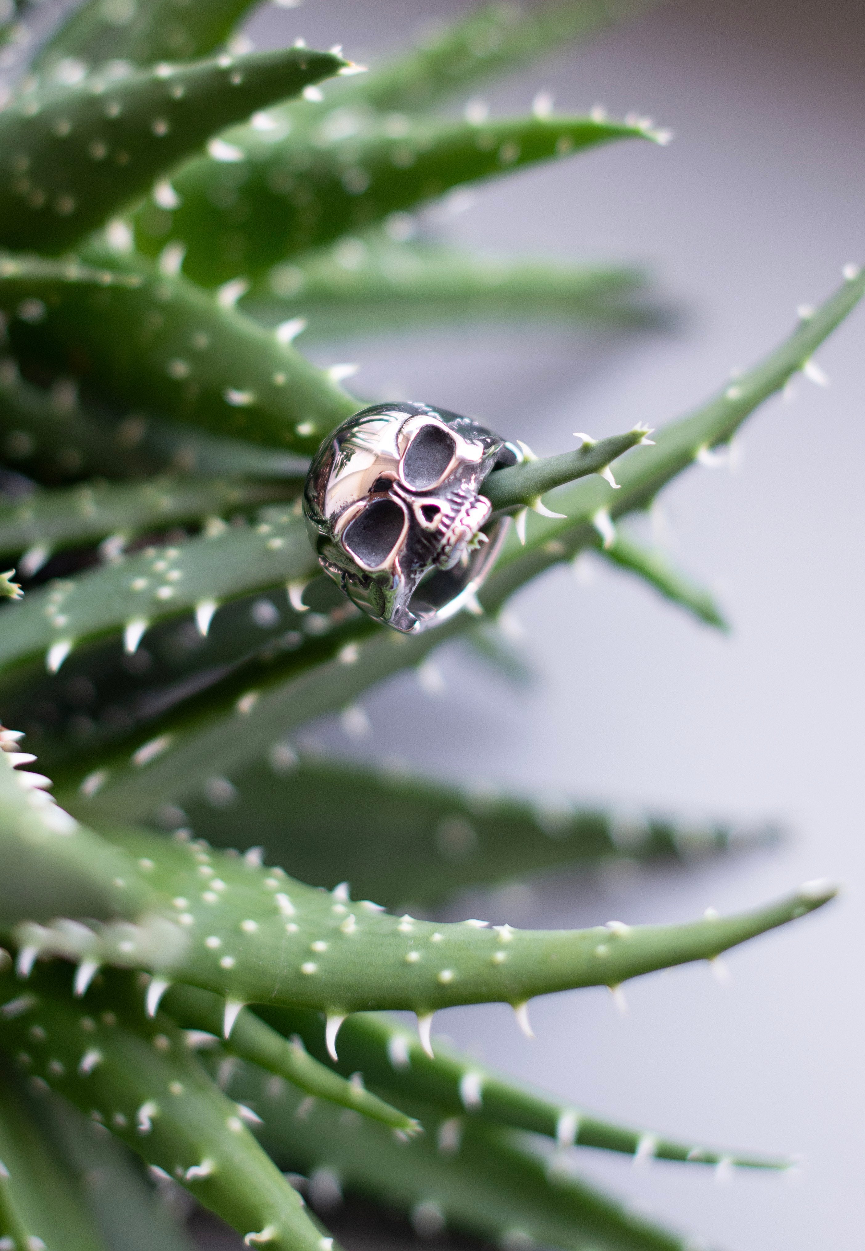 etNox - Simple Skull Silver - Ring | Neutral-Image