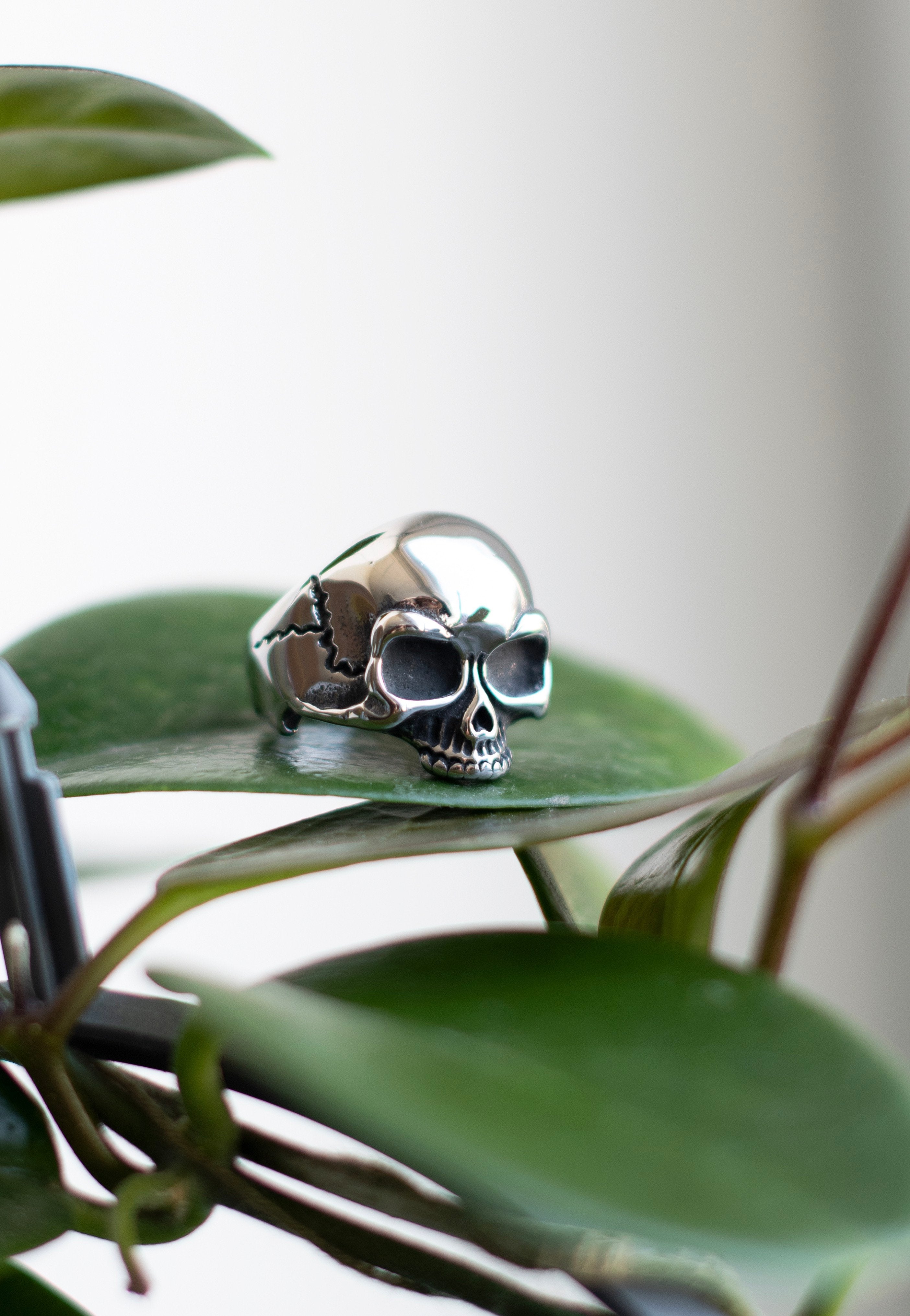 etNox - Simple Skull Silver - Ring | Neutral-Image