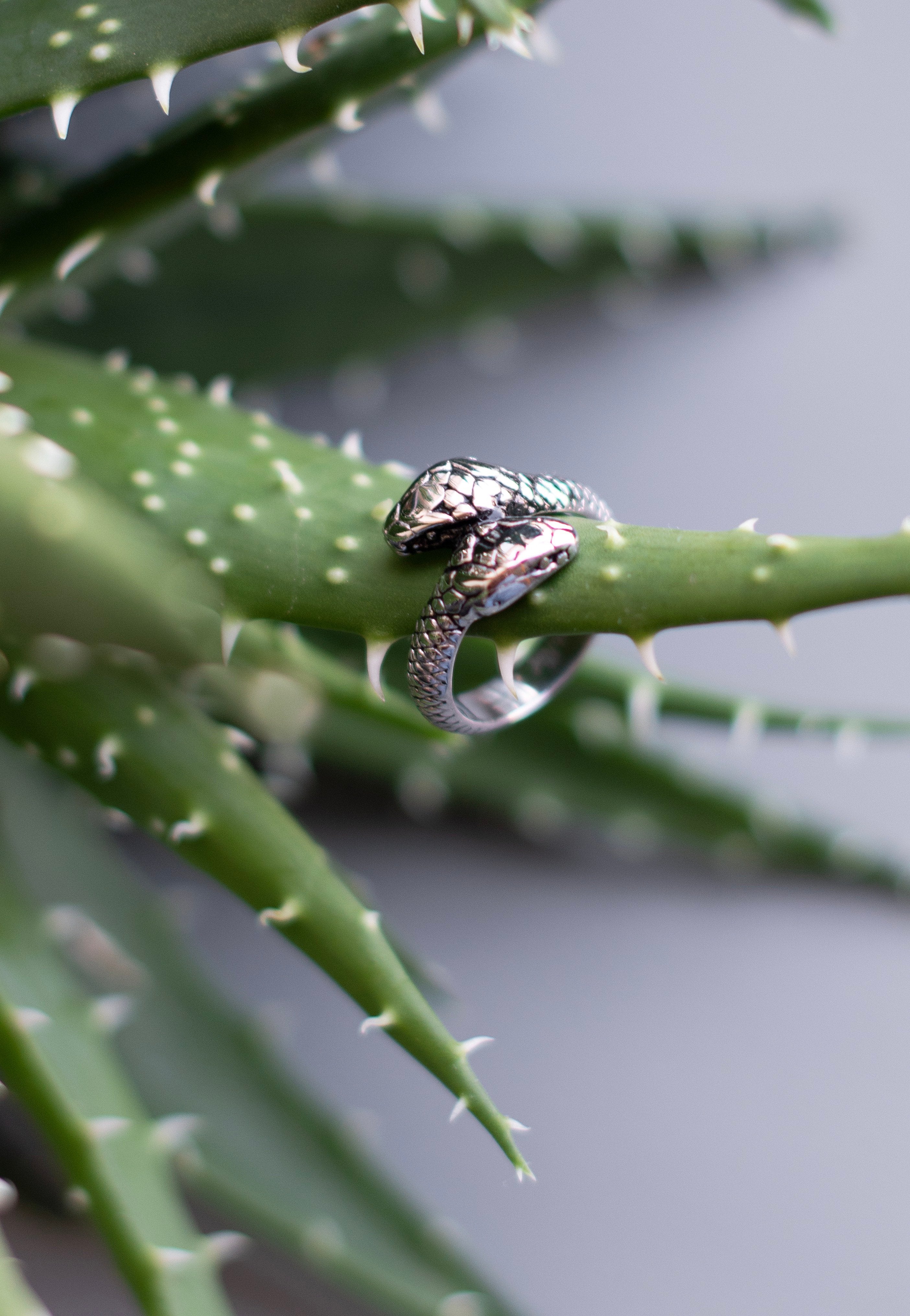 etNox - Schlangen Silver - Ring | Neutral-Image