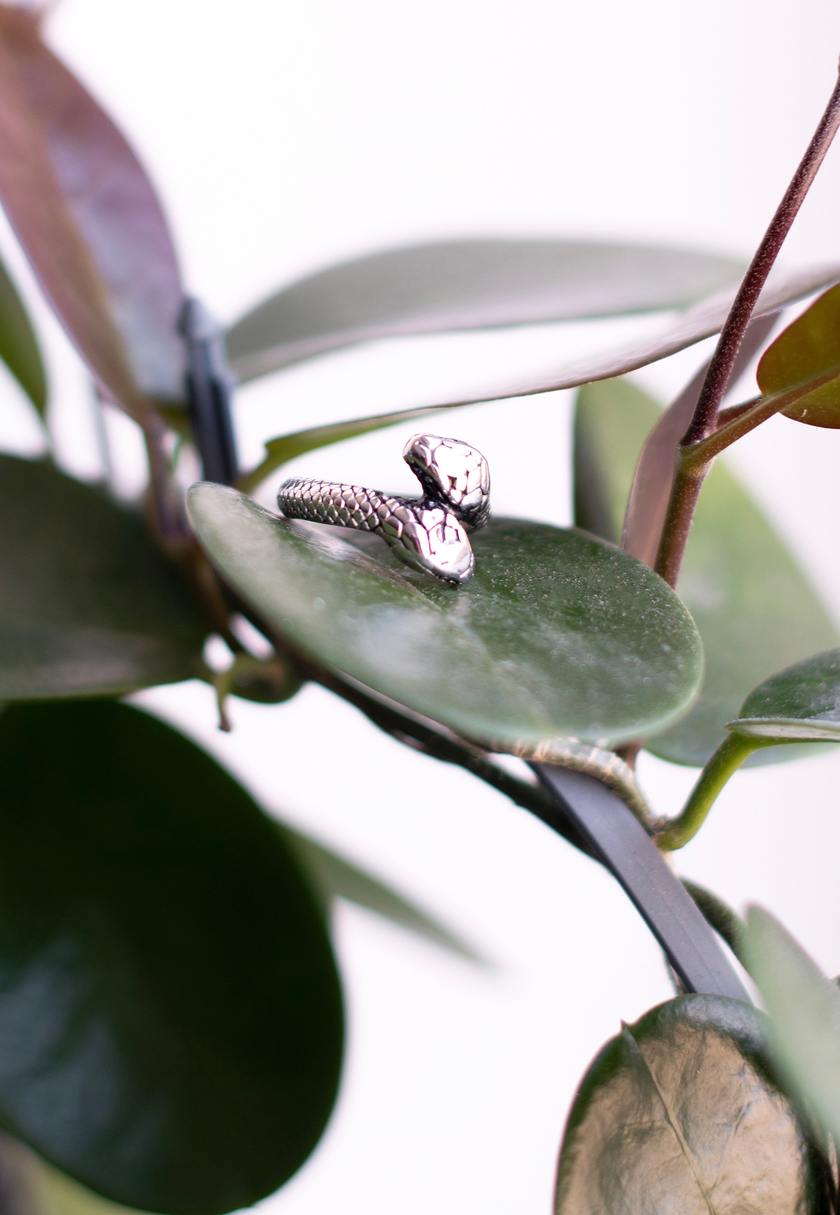 etNox - Schlangen Silver - Ring | Neutral-Image