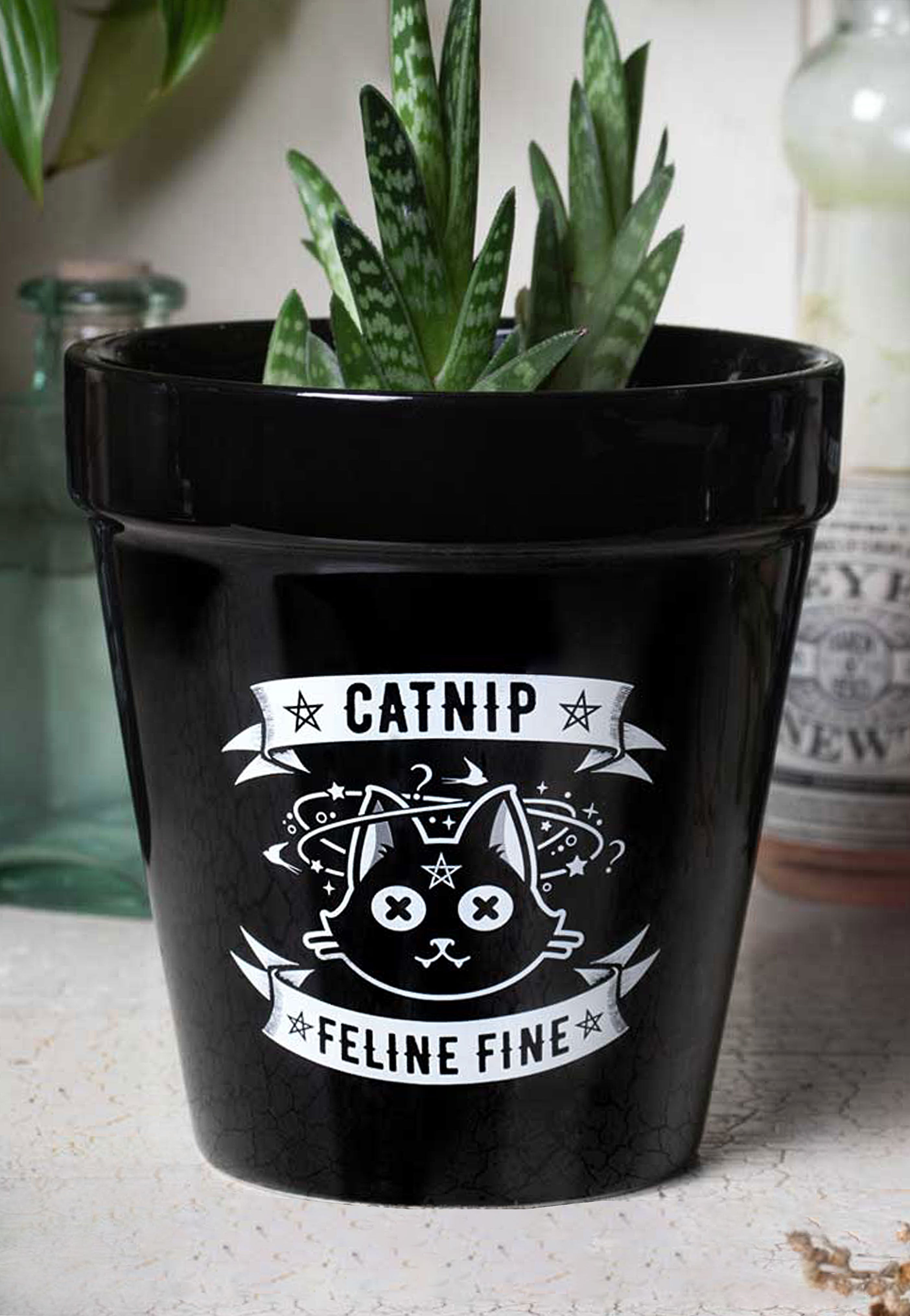 Alchemy England - Catnip - Plant Pot | Neutral-Image