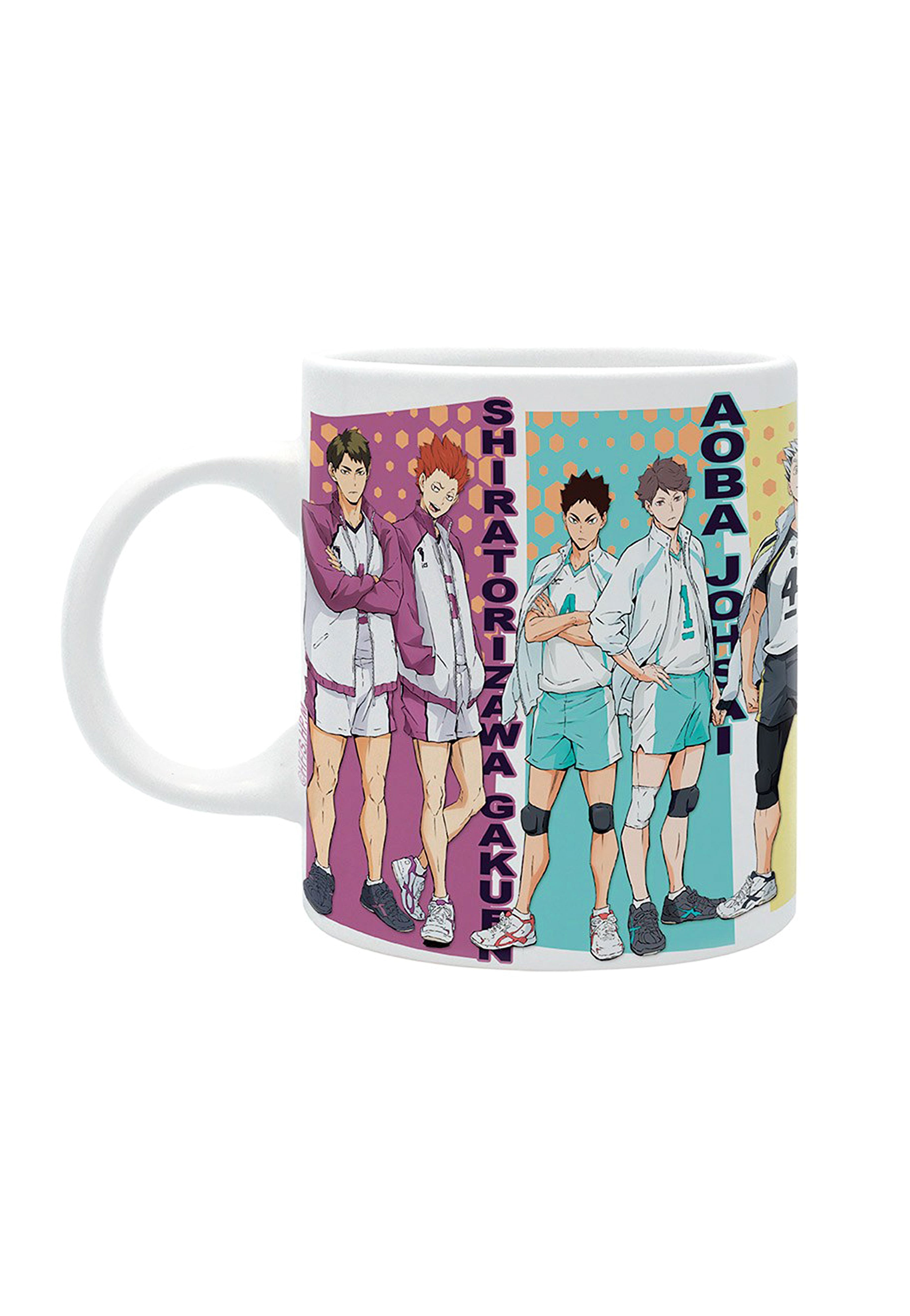 Haikyu!! - Rival Teams - Mug | Neutral-Image