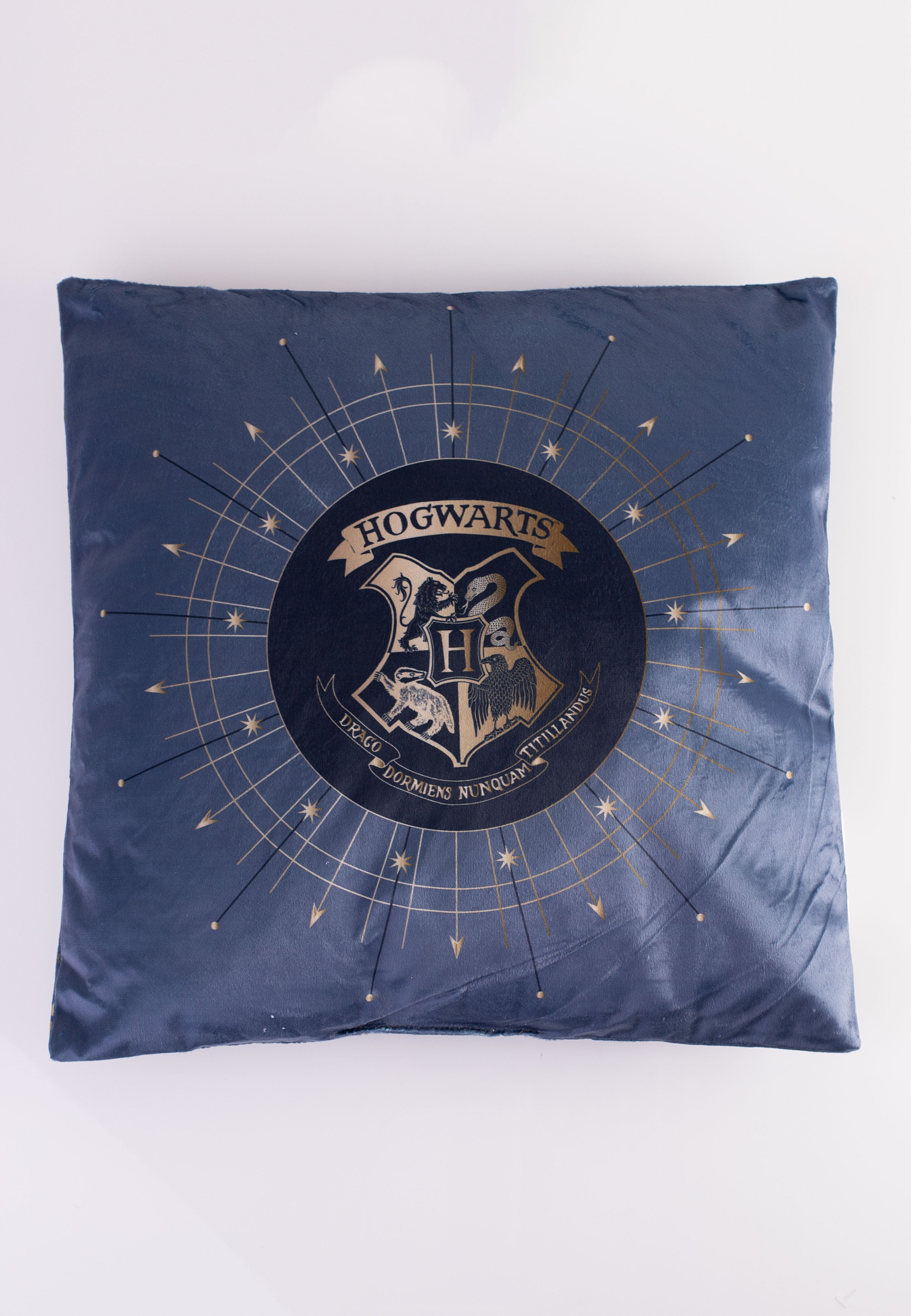 Harry Potter - Hogwarts - Pillow | Neutral-Image