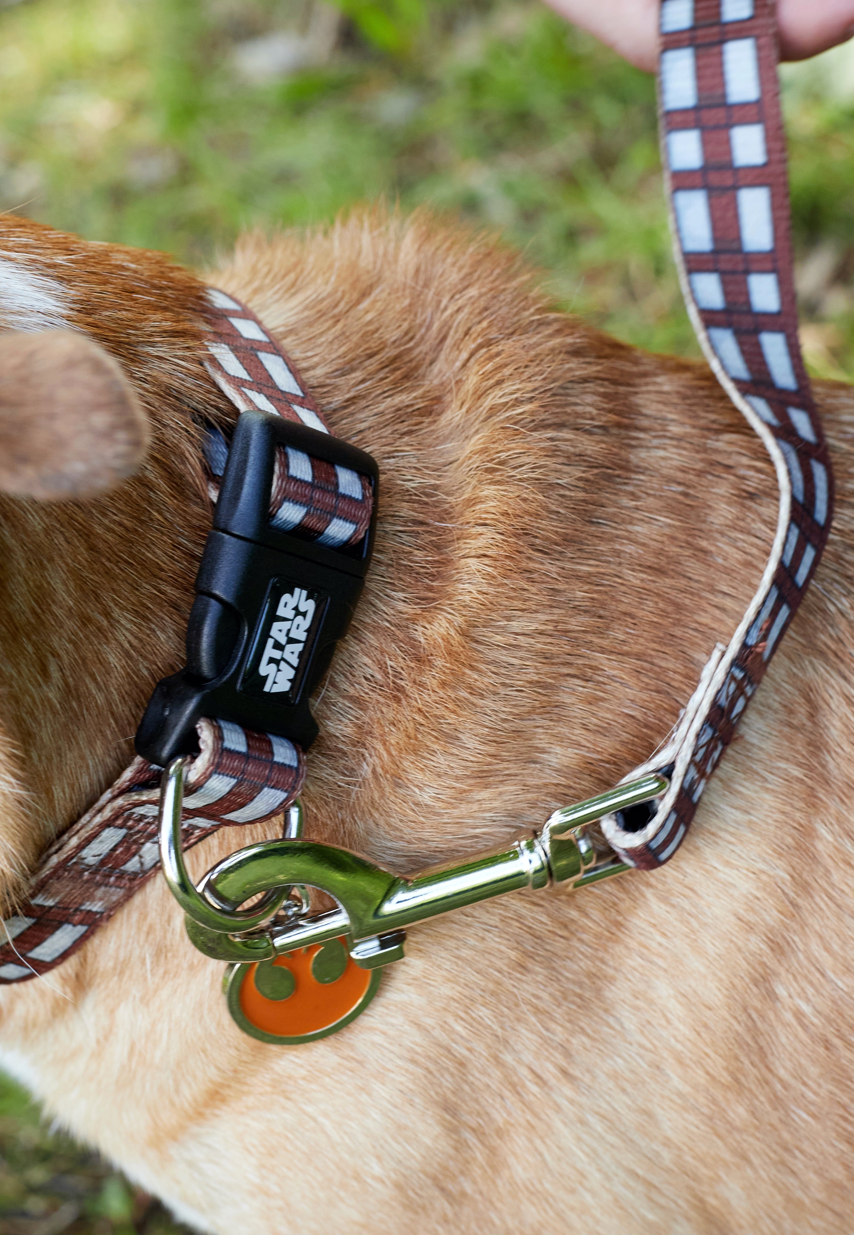 Star Wars - Chewbacca - Dog Leash | Neutral-Image