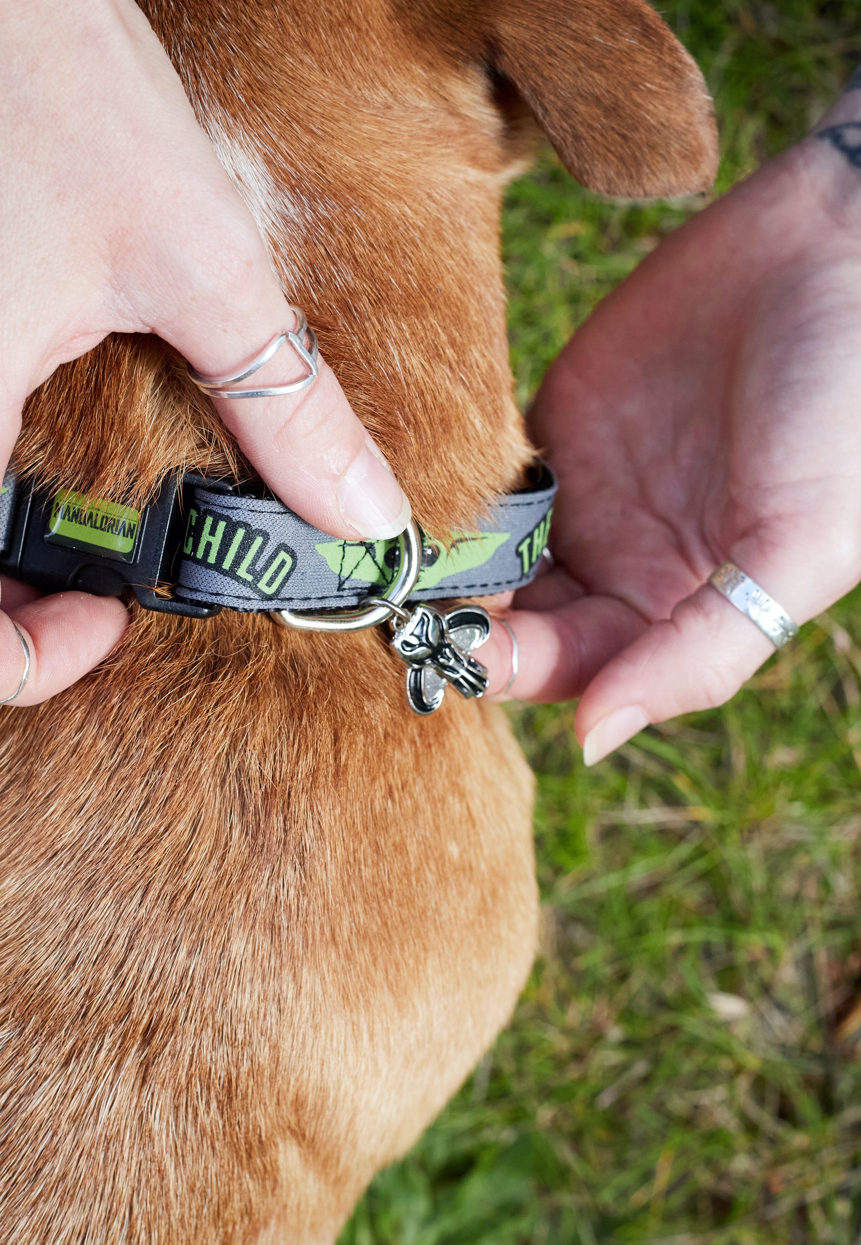 The Mandalorian - The Child - Dog Collar | Neutral-Image