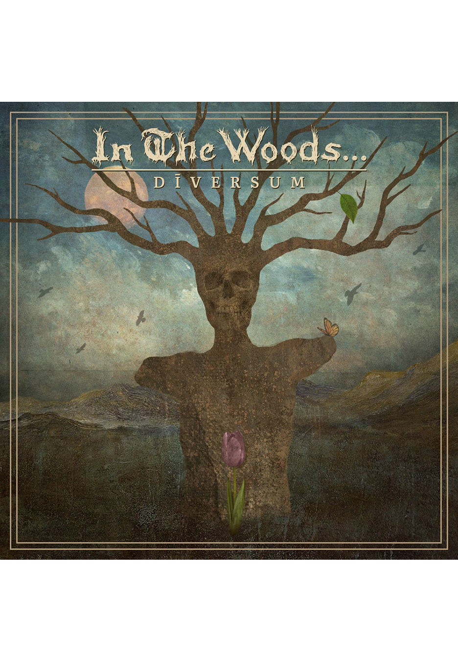 In The Woods - Diversum Blue - Colored Vinyl | Neutral-Image