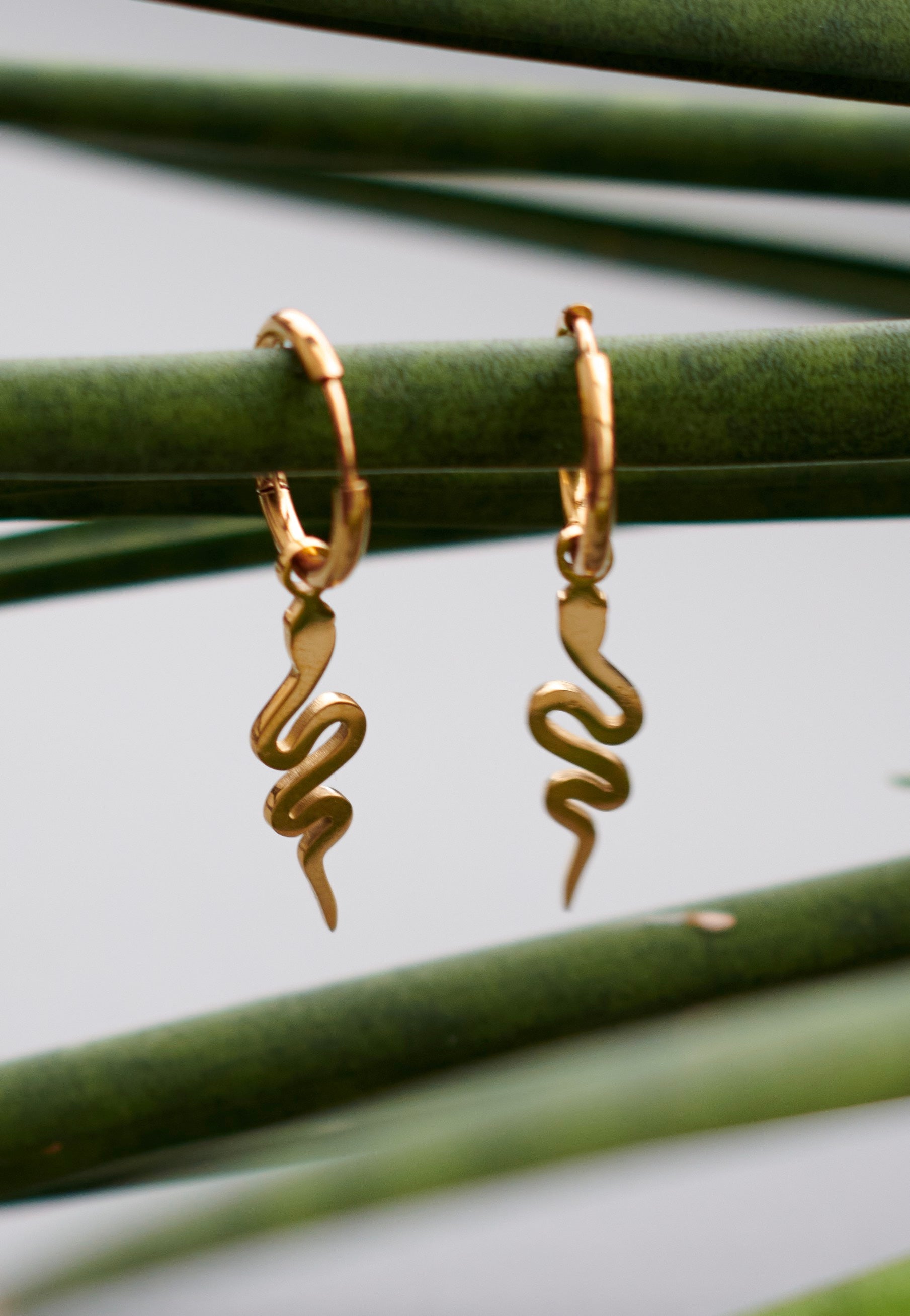 Wildcat - Little Snake Gold - Earrings | Neutral-Image