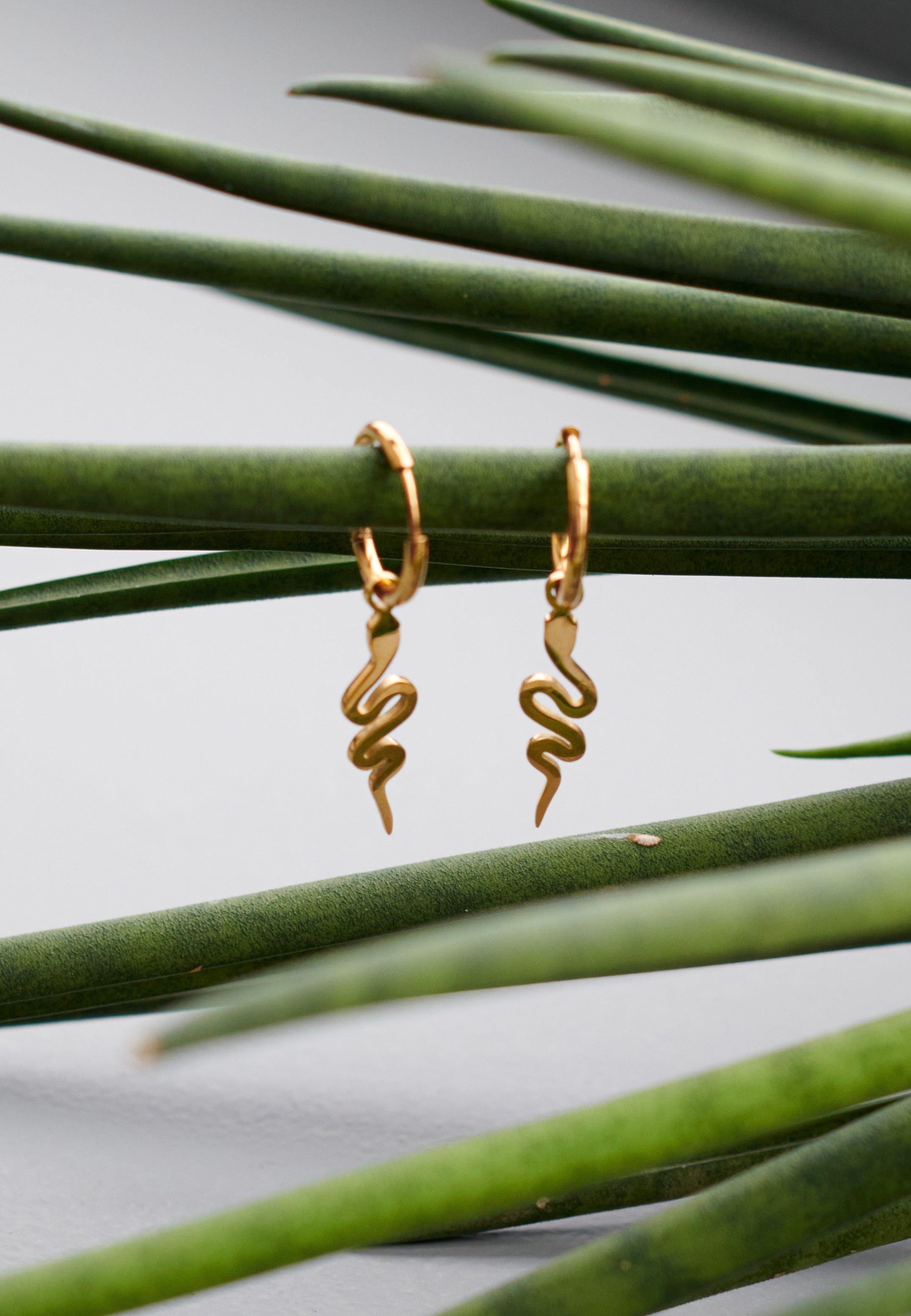 Wildcat - Little Snake Gold - Earrings | Neutral-Image