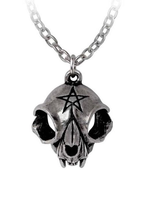 Alchemy England - My Forever Friend Silver - Necklace | Neutral-Image