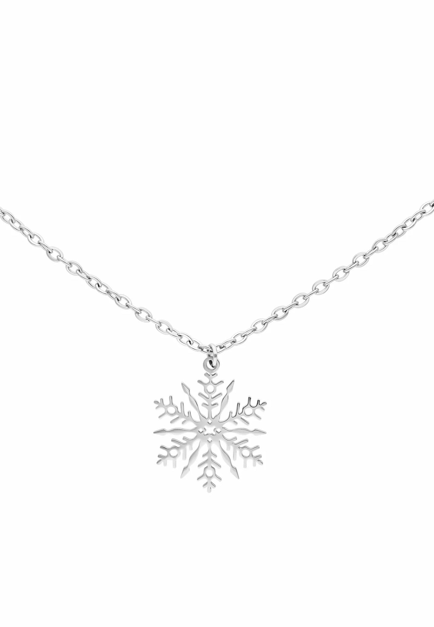 Wildcat - Snowflake Silver - Necklace | Neutral-Image