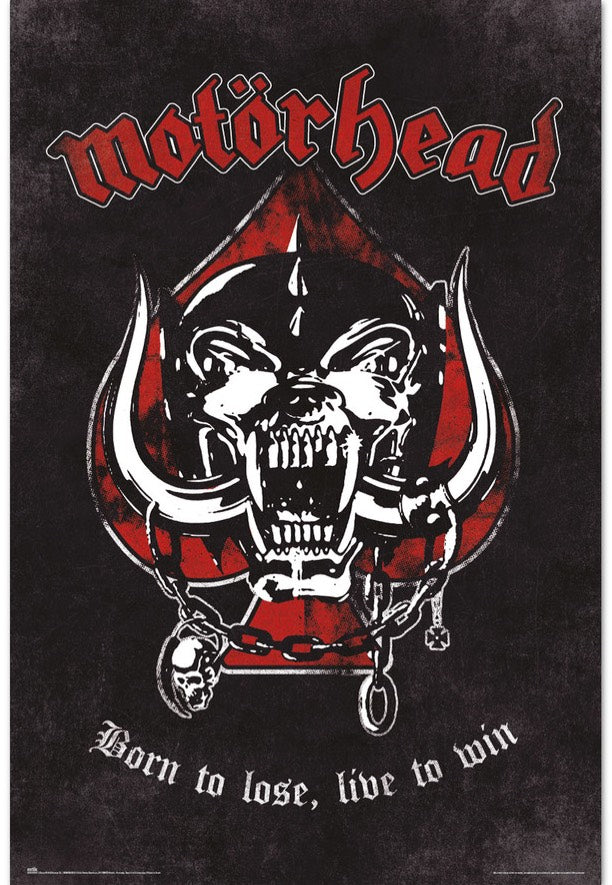 Motörhead - Born To Lose Maxi - Poster | Neutral-Image