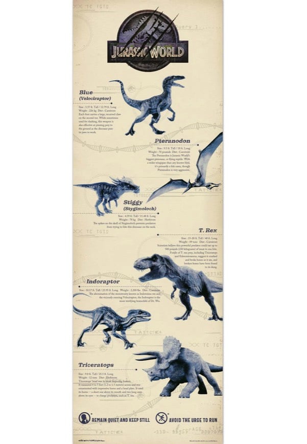 Jurassic World - Dinosaur Races Door - Poster | Neutral-Image