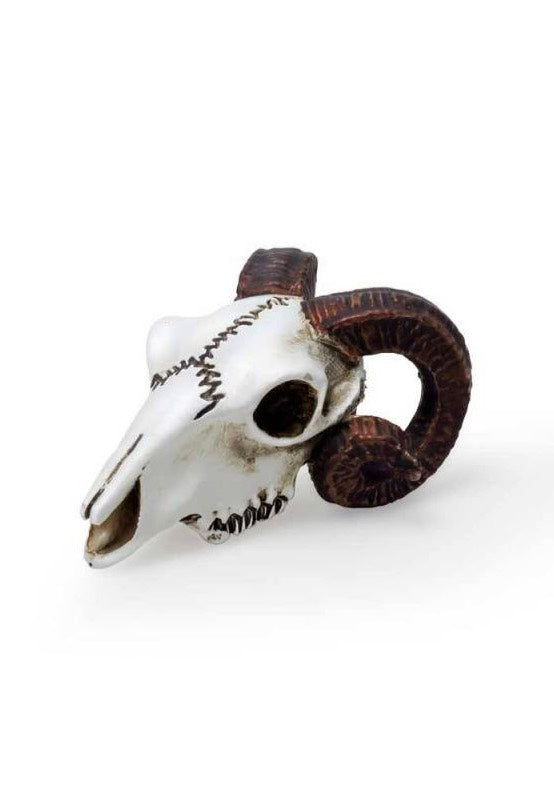 Alchemy England - Rams Skull Miniature - Statue | Neutral-Image