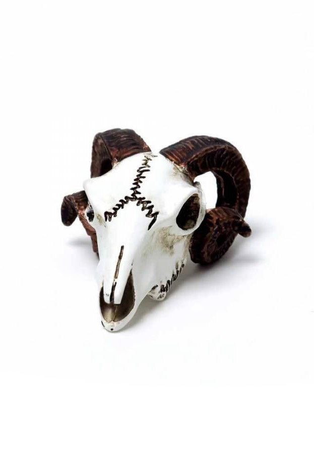 Alchemy England - Rams Skull Miniature - Statue | Neutral-Image