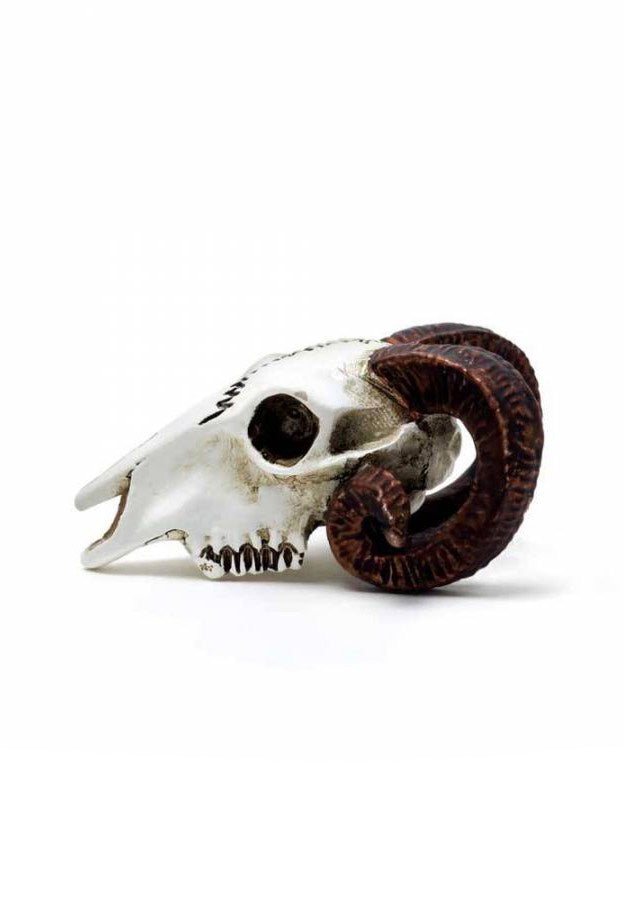 Alchemy England - Rams Skull Miniature - Statue | Neutral-Image