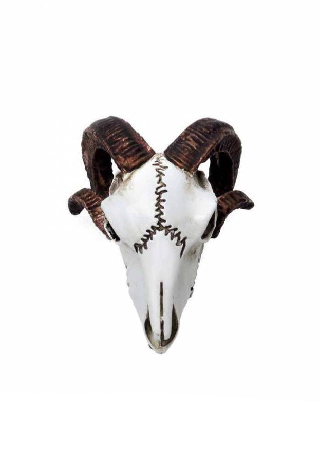 Alchemy England - Rams Skull Miniature - Statue | Neutral-Image