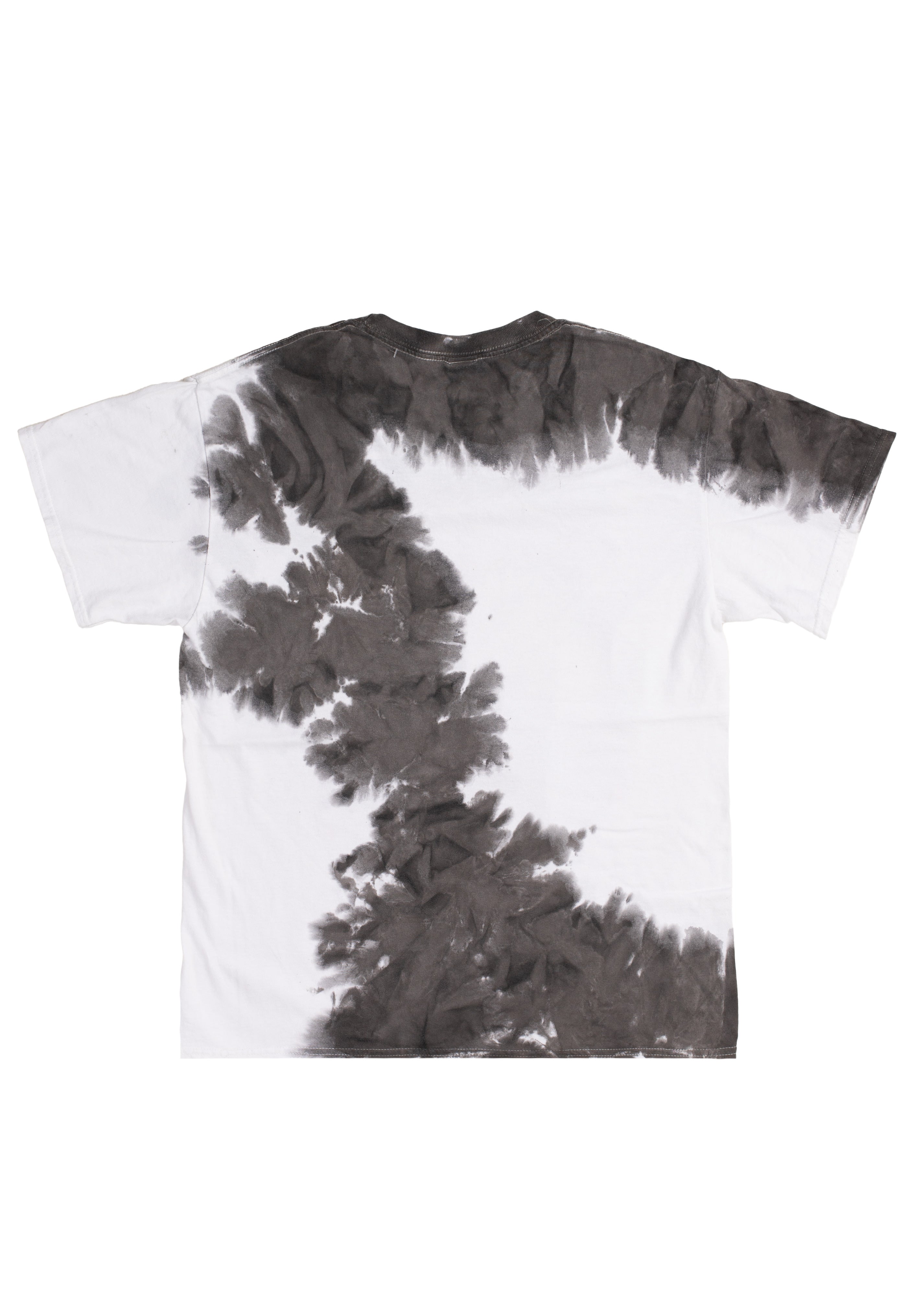 Space Jam - Ready 2 Jam Dip-Dye - T-Shirt | Neutral-Image