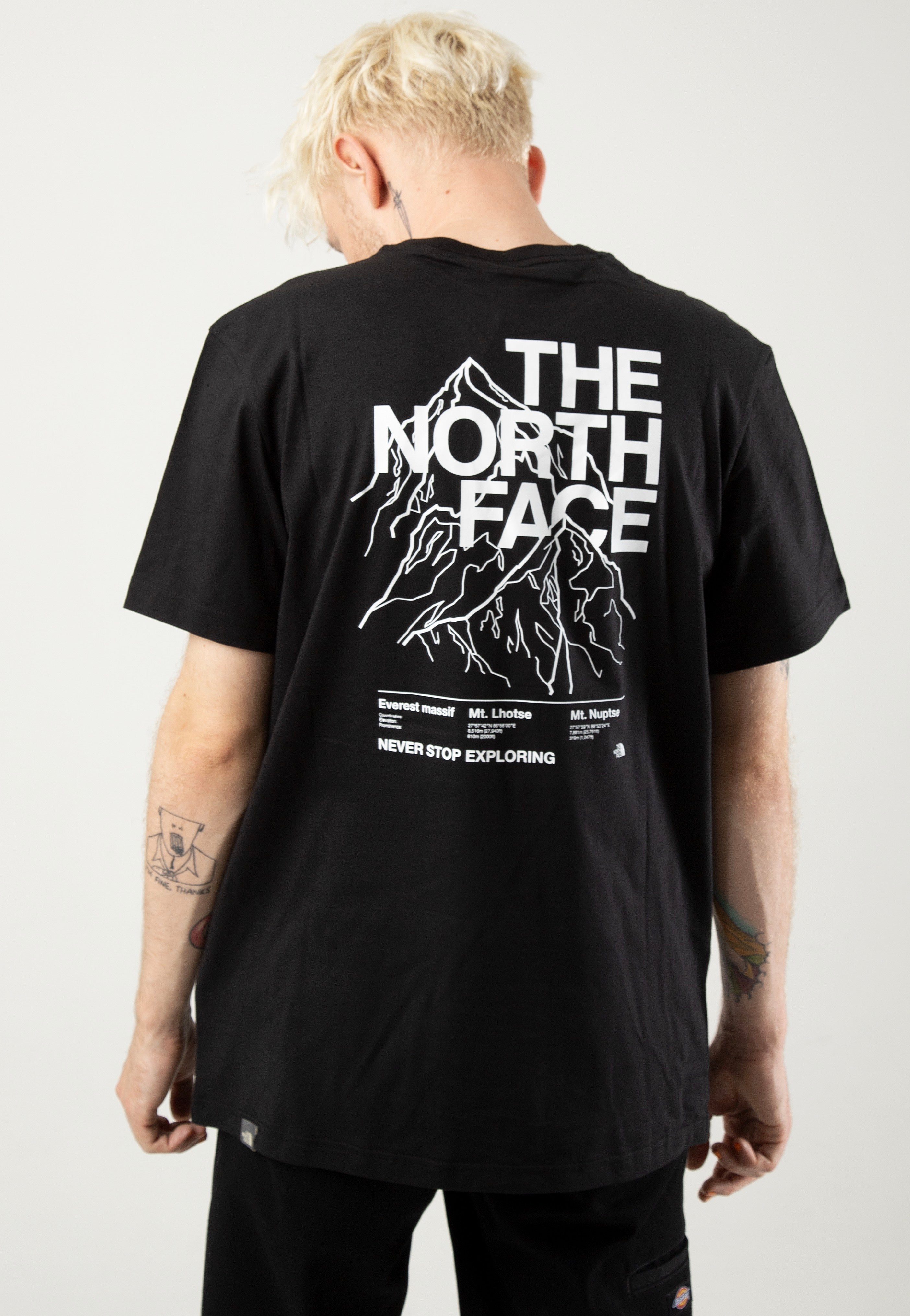 North face mount everest t shirt online