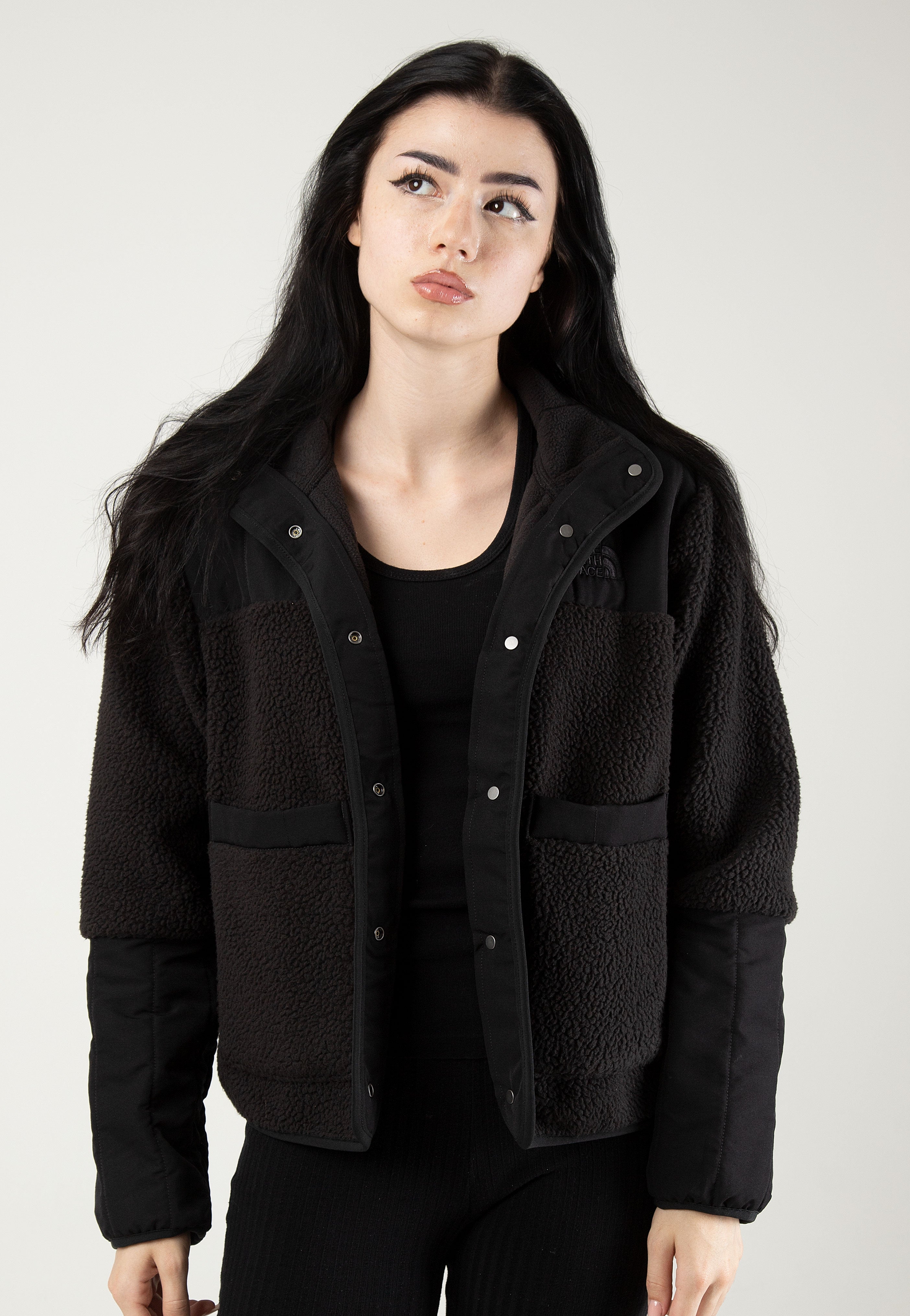 The North Face - Women’s Cragmont Fleece Tnf Black - Jacket | Women-Image