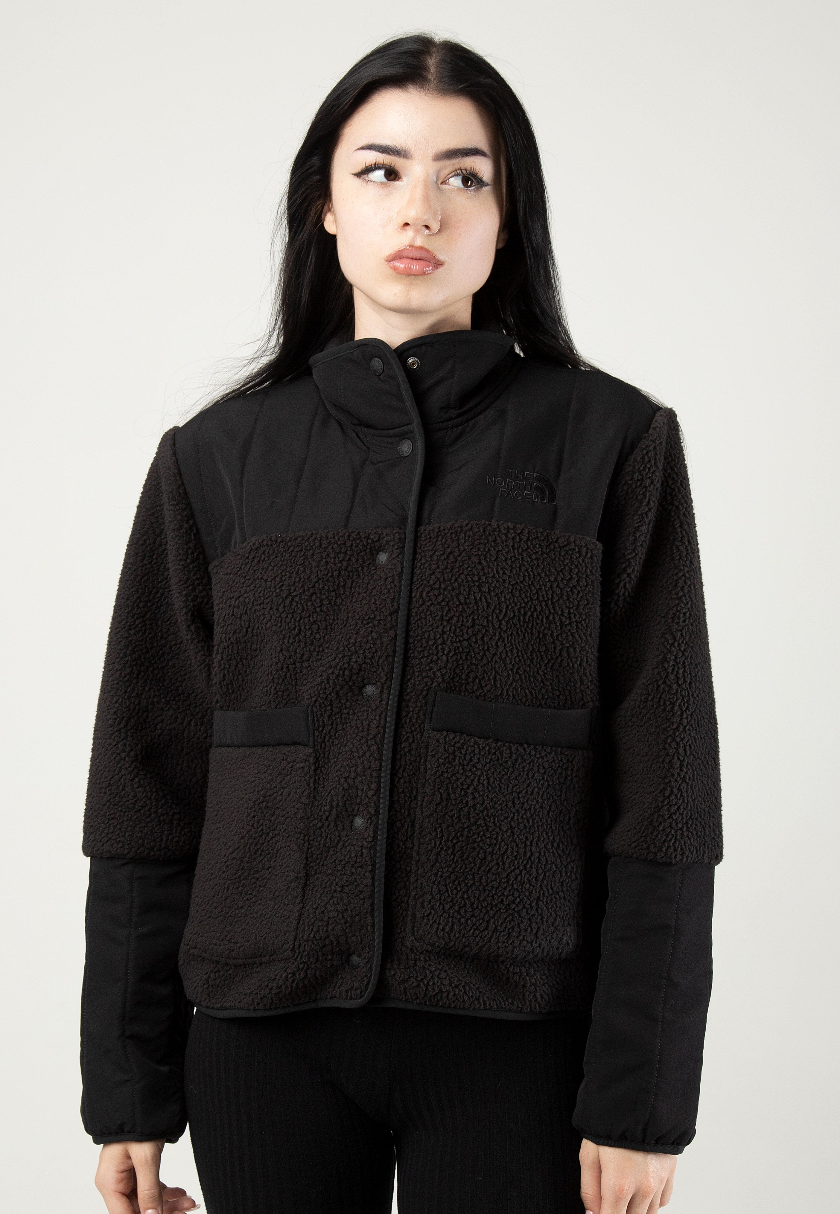 The North Face - Women’s Cragmont Fleece Tnf Black - Jacket | Women-Image