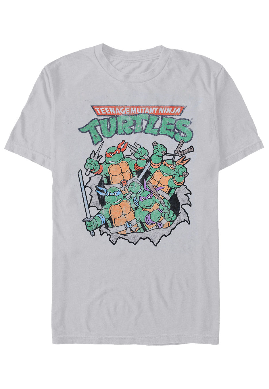 Turtles - Turtle Group Heather Grey - T-Shirt | Neutral-Image