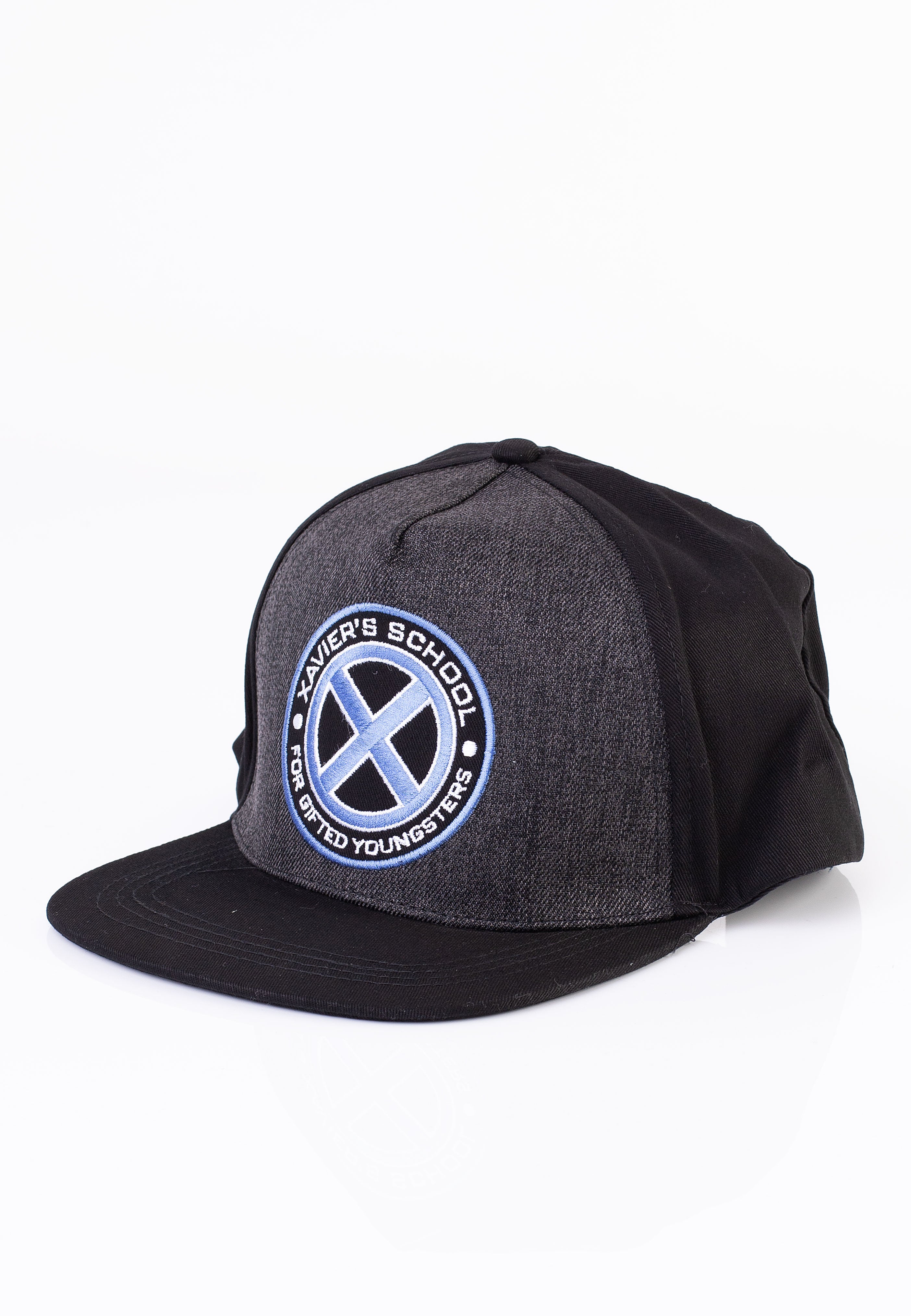 X-Men - Xavier Logo - Cap | Neutral-Image