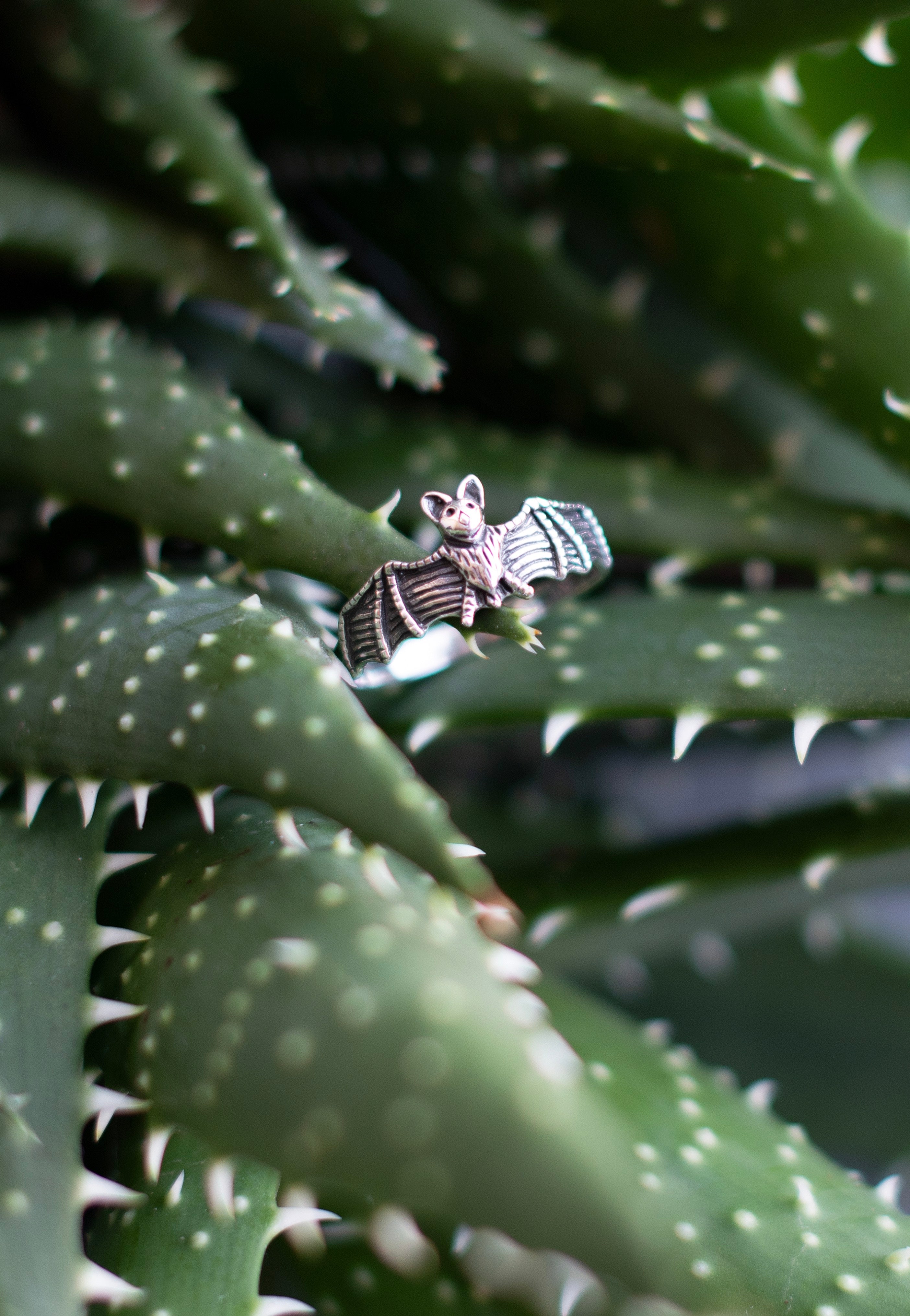 etNox - Kleine Fledermaus II Silver - Ring